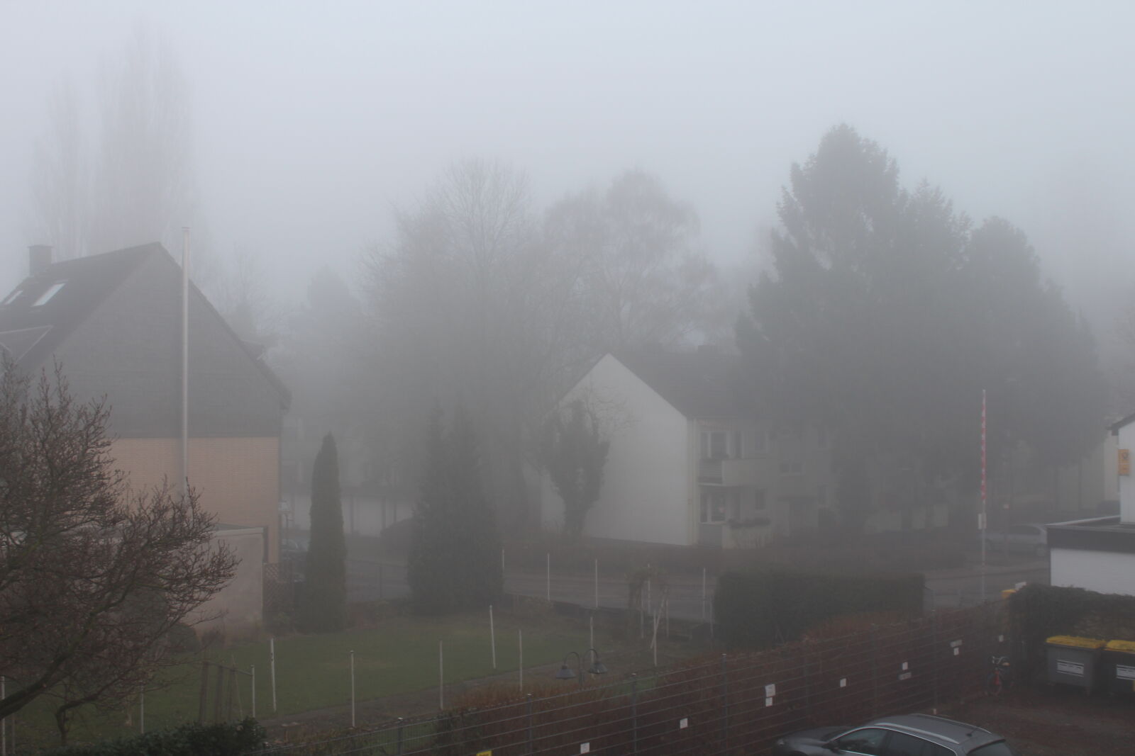 Canon EOS 1300D (EOS Rebel T6 / EOS Kiss X80) sample photo. Foggy photography