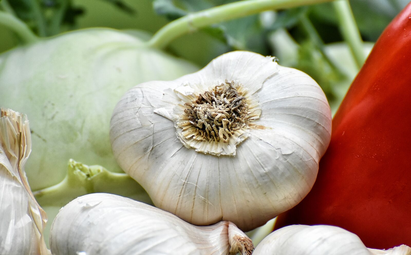 Nikon D7200 sample photo. Vegetables, paprika, garlic photography
