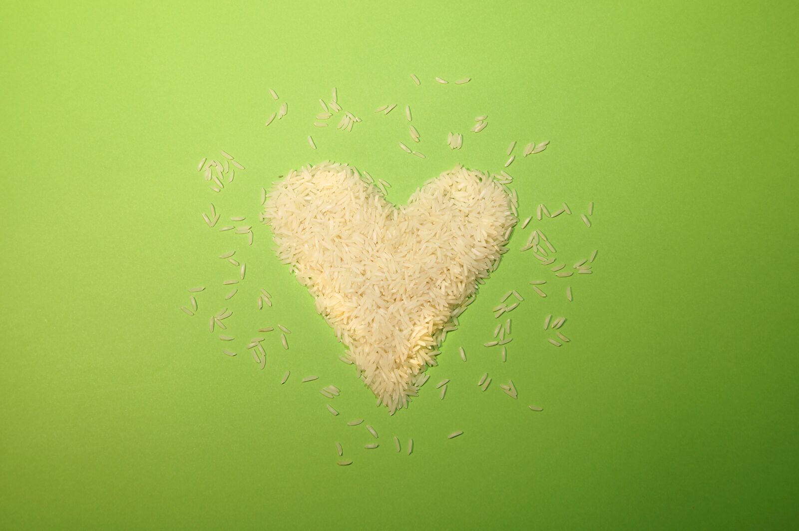 Sony SLT-A57 sample photo. Rice, food, grain photography