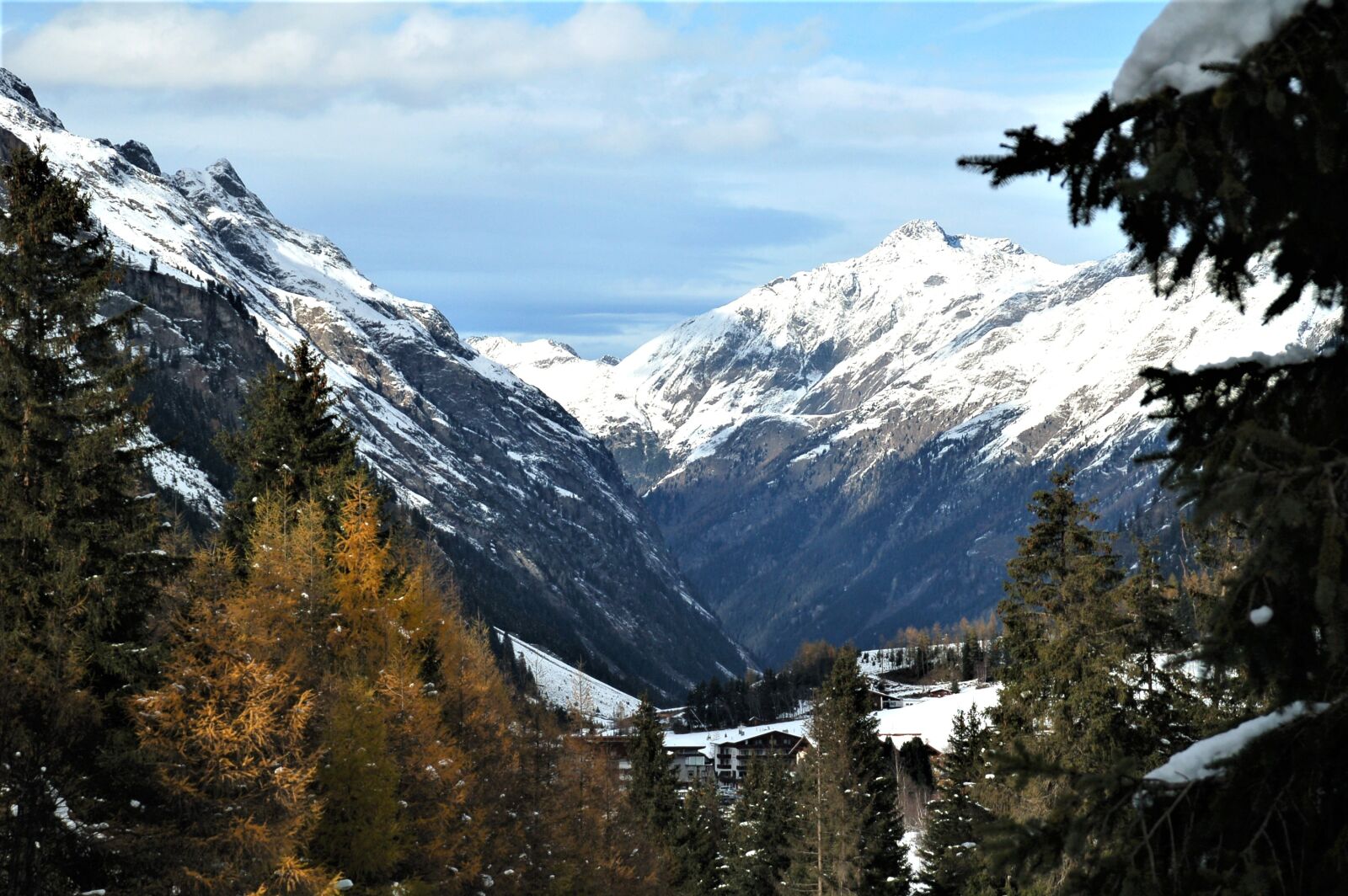 Nikon D50 sample photo. Austria, mountains, trees photography