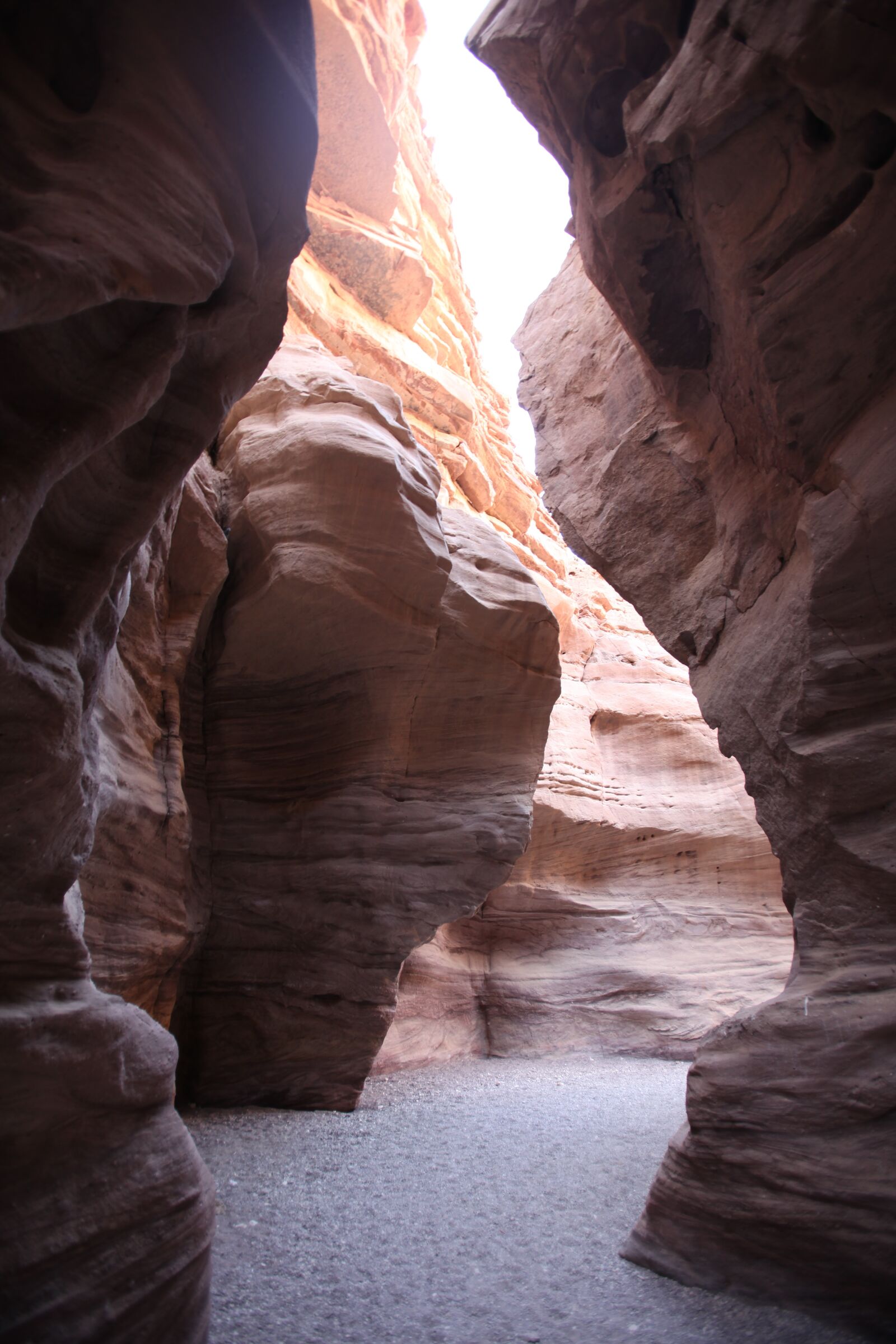 Canon EOS 5D Mark II sample photo. Israel, timna, travel photography