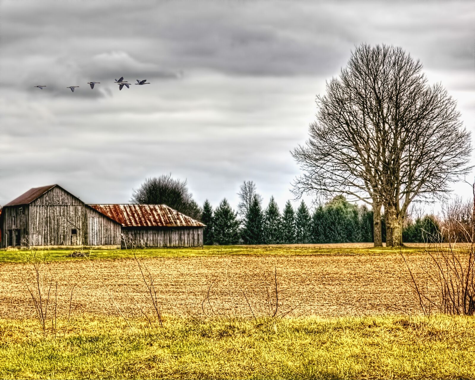 Canon EOS 5D Mark II sample photo. Barn, rustic, barns photography