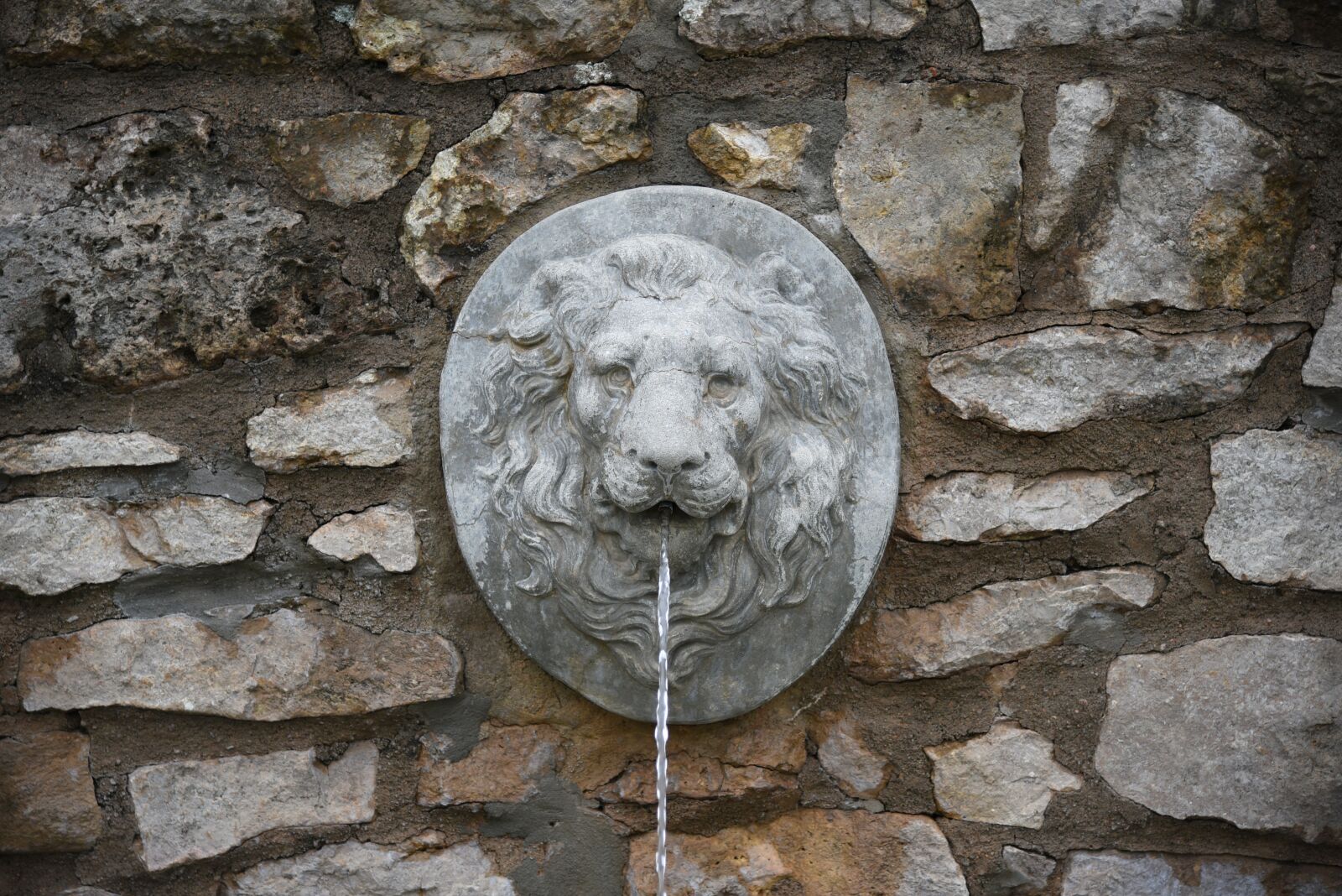 Nikon D750 sample photo. Fountain, head, stone photography