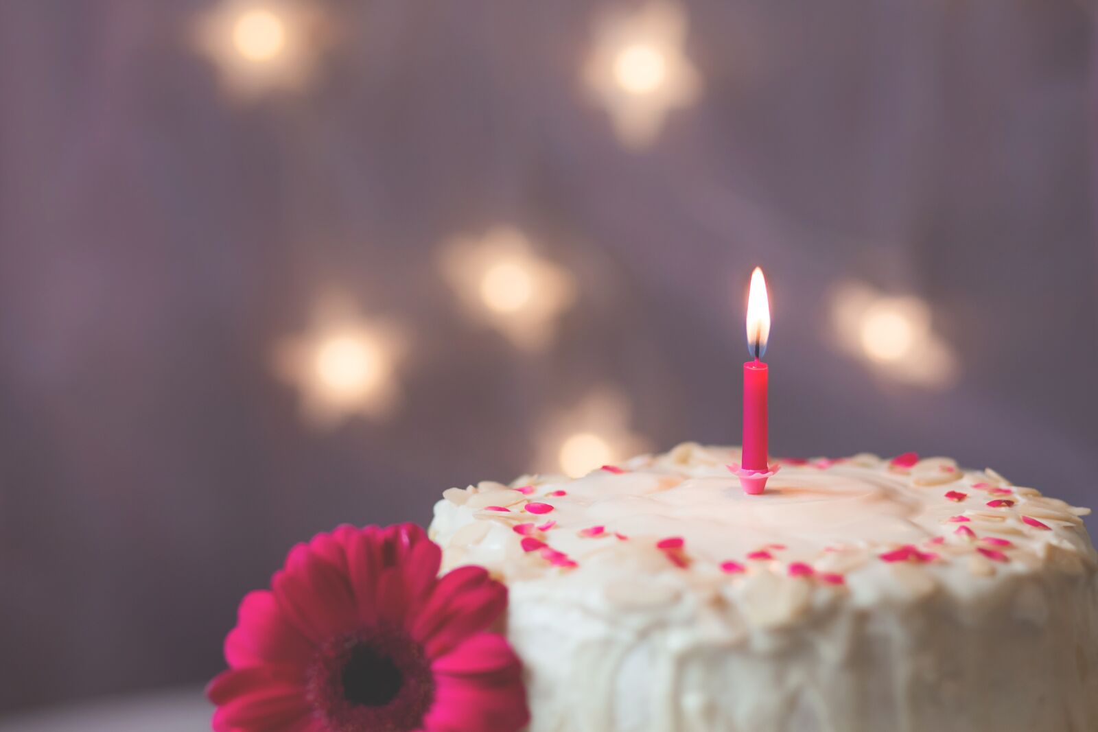 Canon EF 85mm F1.8 USM sample photo. Events, birthday, cake photography