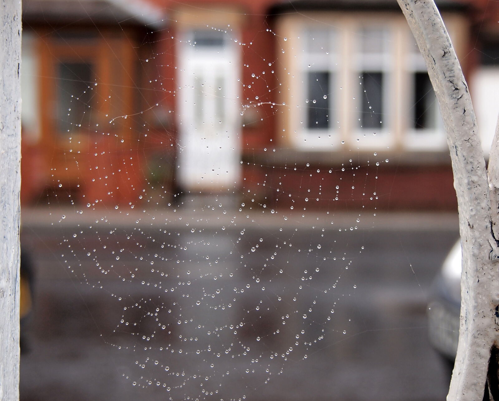 Olympus PEN E-PL2 sample photo. Dew, drops, of, water photography