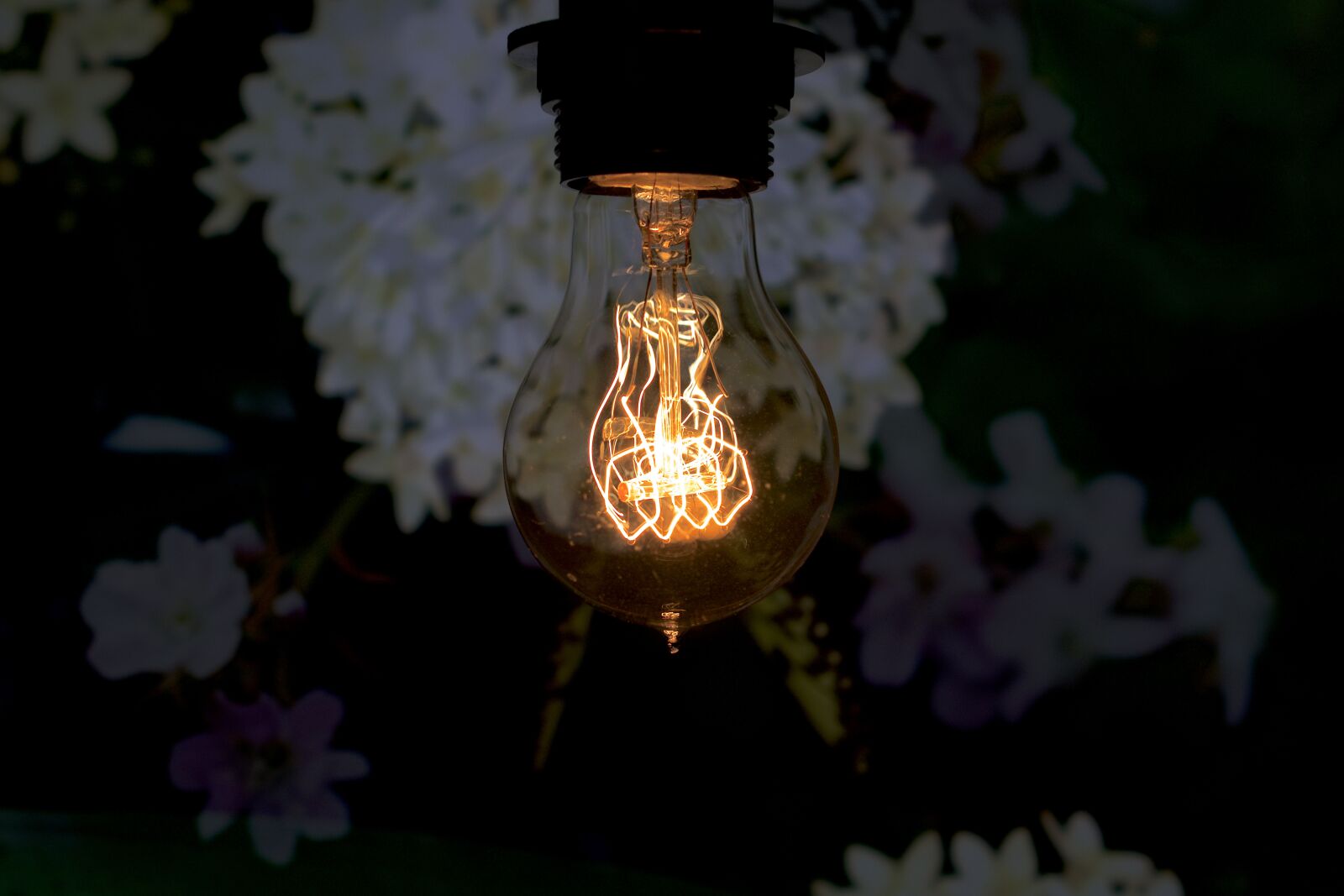 Nikon D5300 sample photo. Light bulb, disappearing, vintage photography