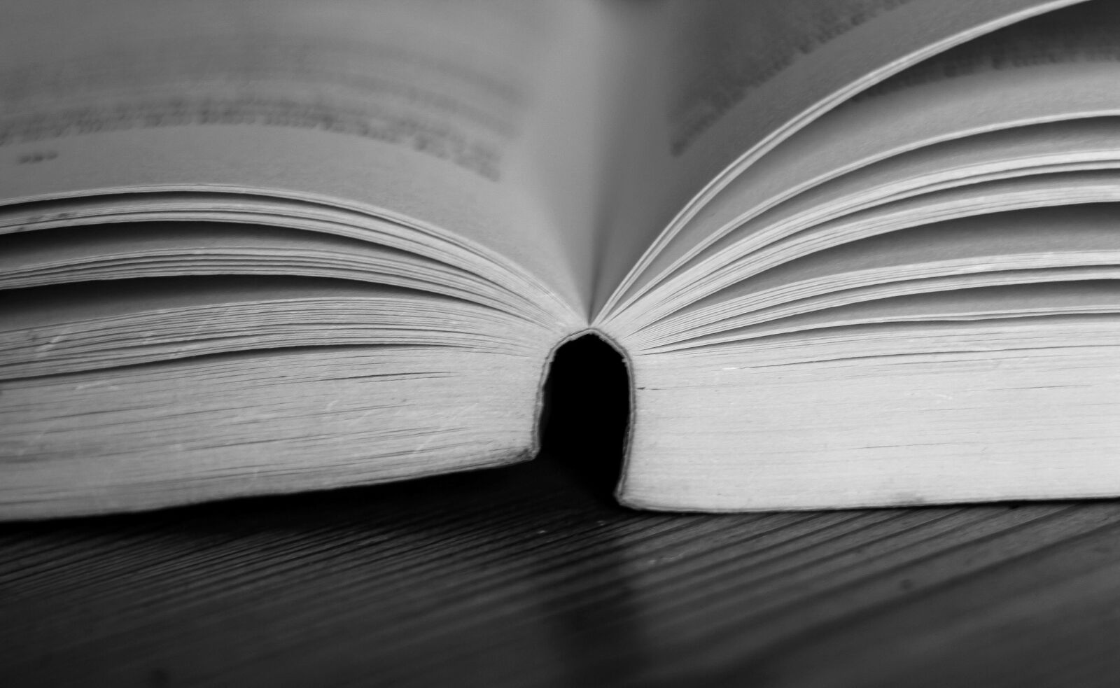 Canon EF 50mm F1.8 STM sample photo. Book, book floor, book photography