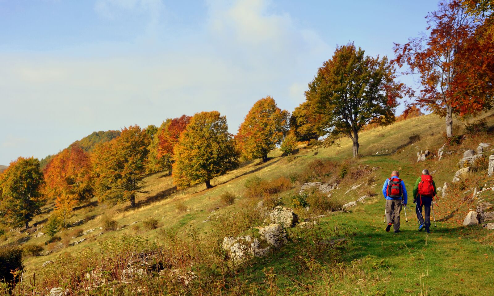 Nikon D7100 sample photo. Excursion, trail, walking with photography