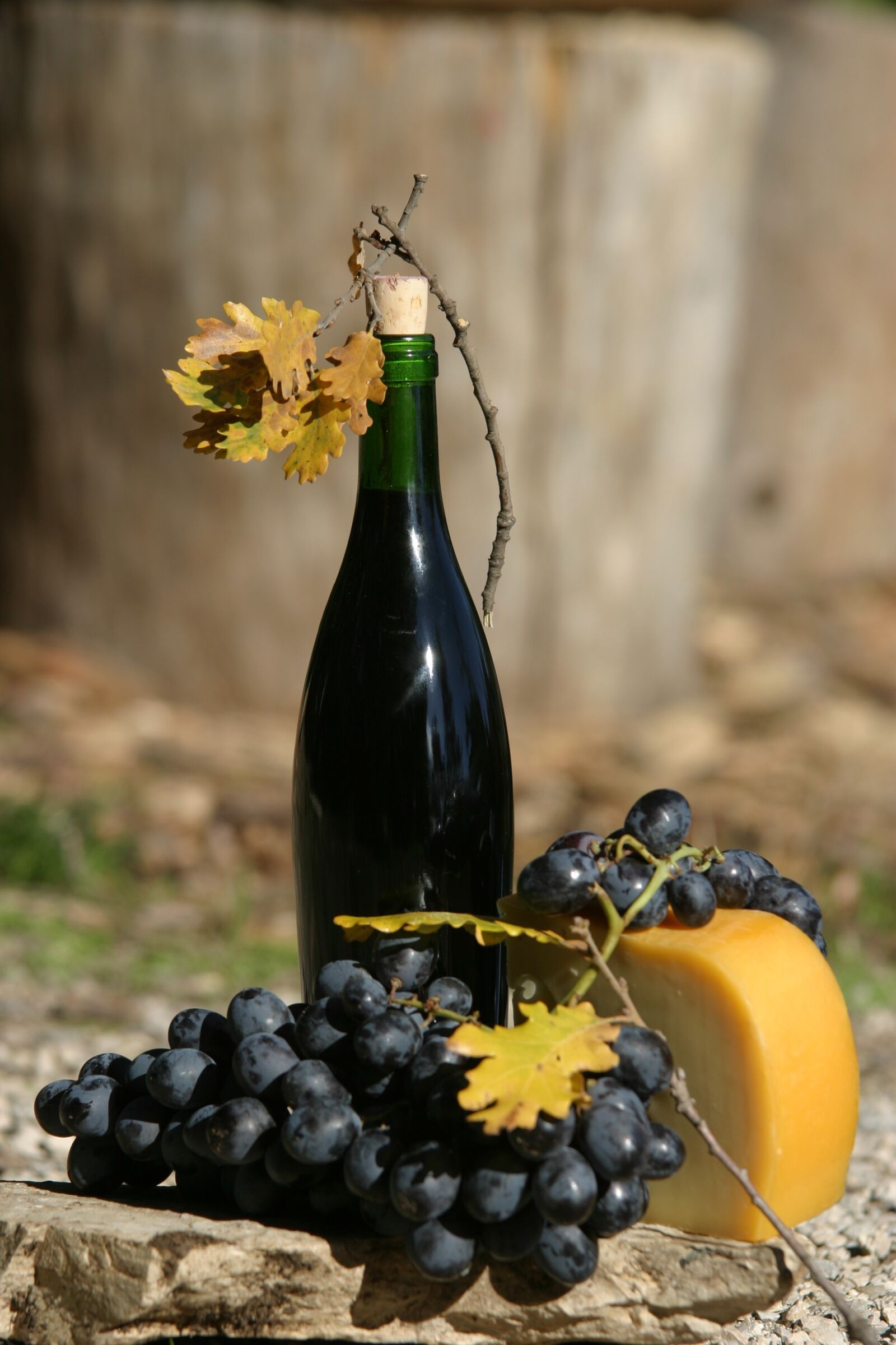 Canon EOS 10D sample photo. Wine, cheese, grapes photography