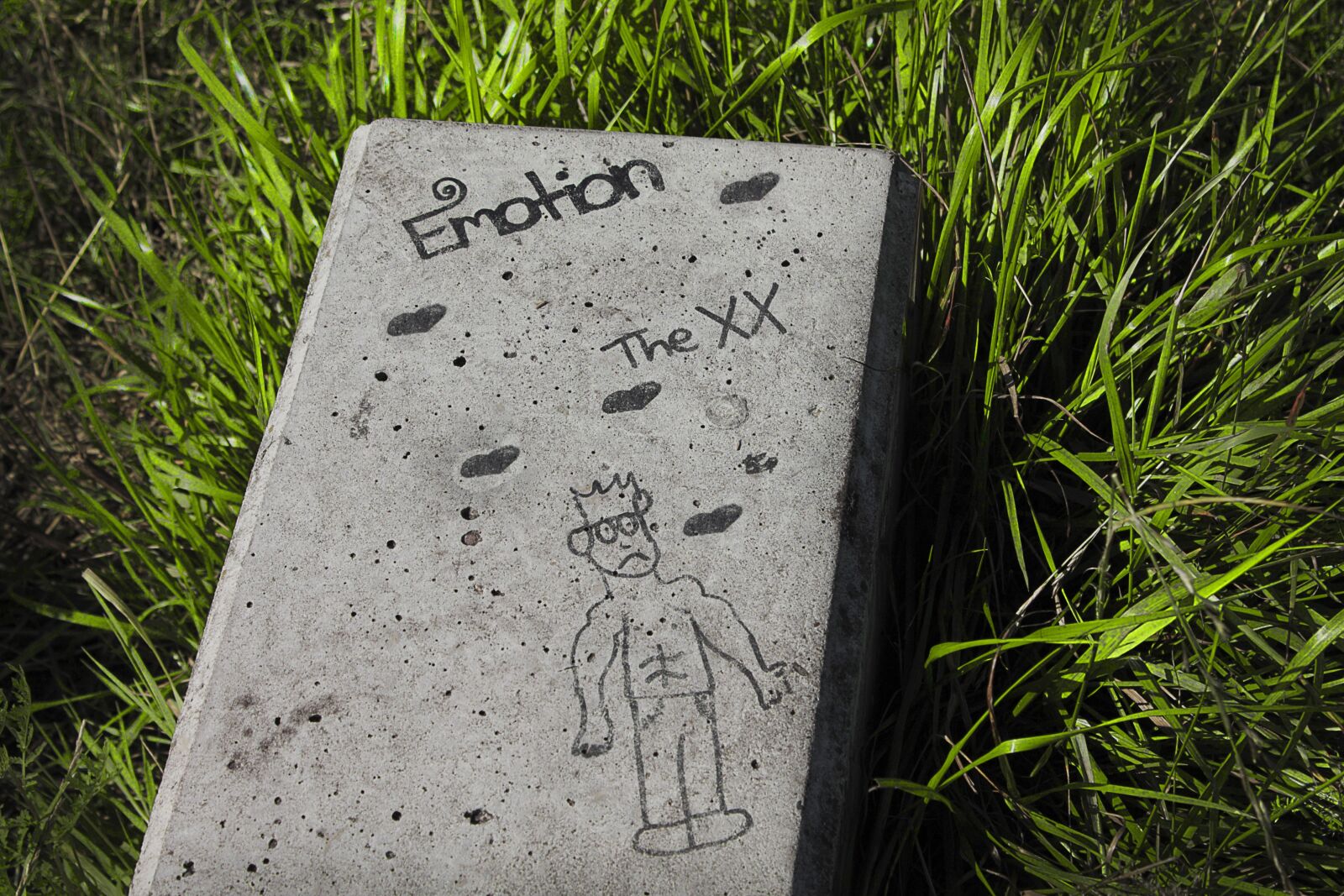 Canon EOS 1100D (EOS Rebel T3 / EOS Kiss X50) sample photo. Grass, stone, drawing photography