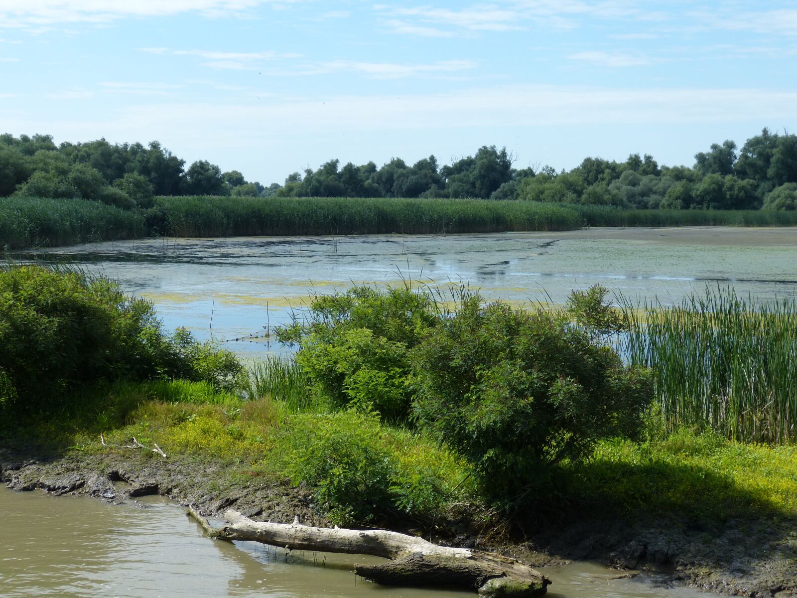 Panasonic Lumix DMC-FZ150 sample photo. Danube, danube delta, delta photography