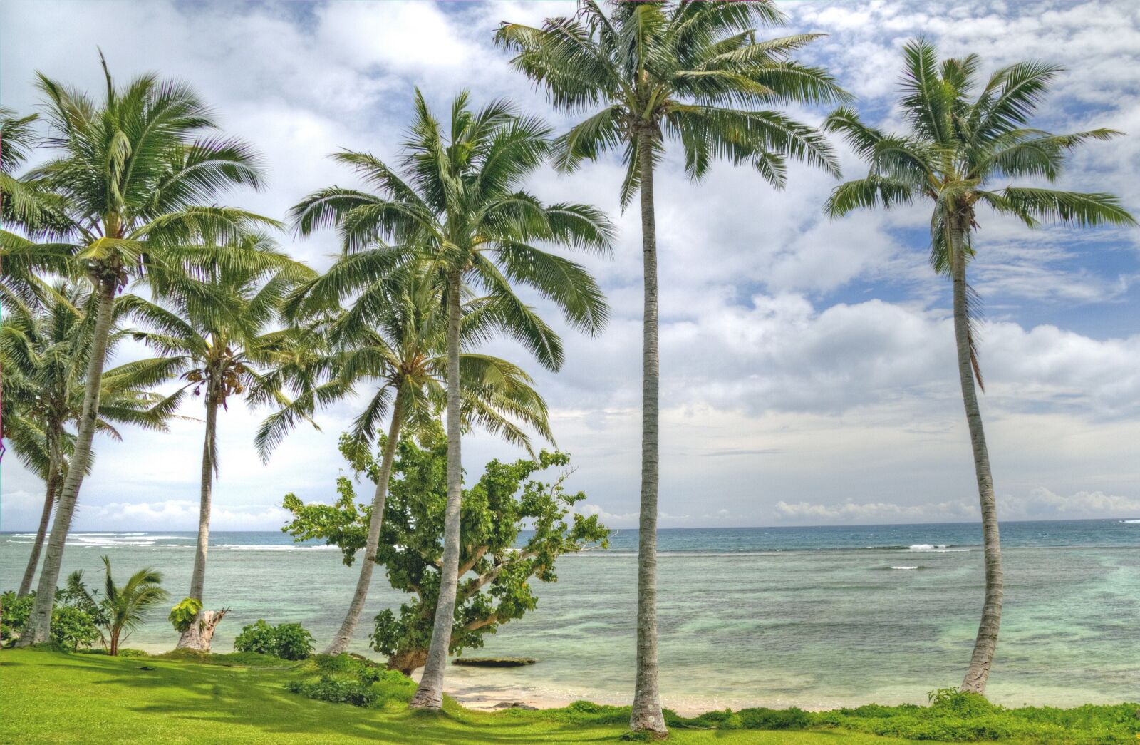 Canon EOS 7D sample photo. Beach, palm, trees photography