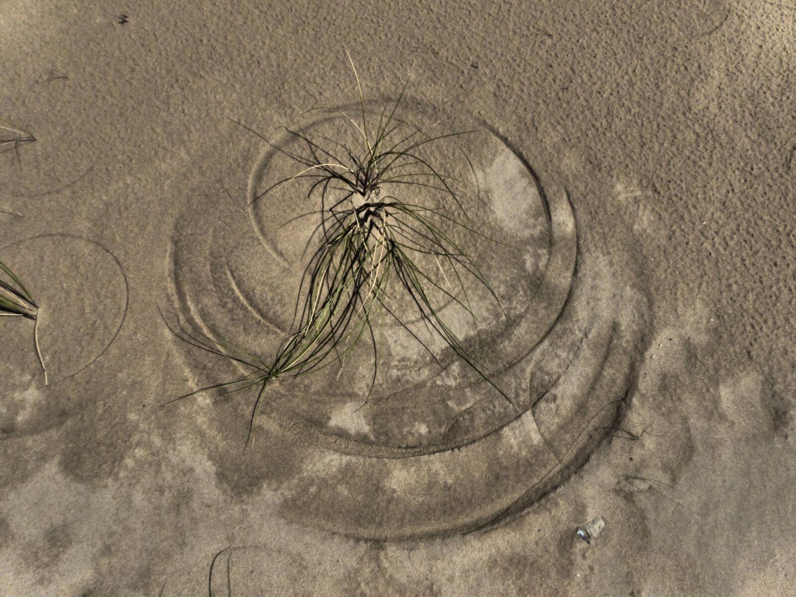 Panasonic Lumix DMC-FZ200 sample photo. Sand, beach, blade of photography