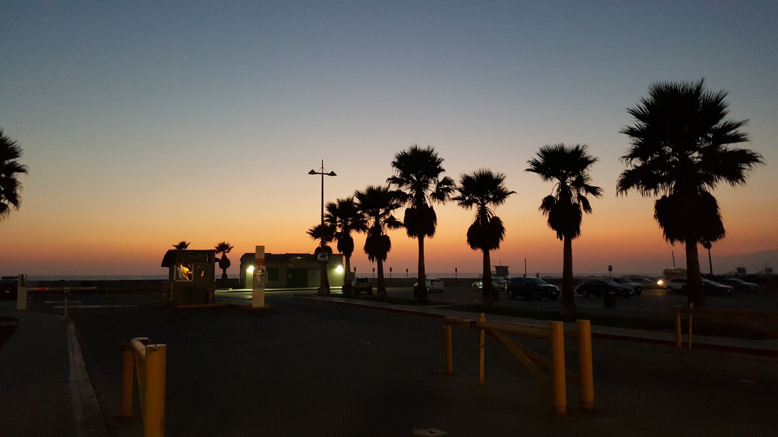 Samsung GALAXY S6 edge sample photo. Palm tree, sunset, beach photography