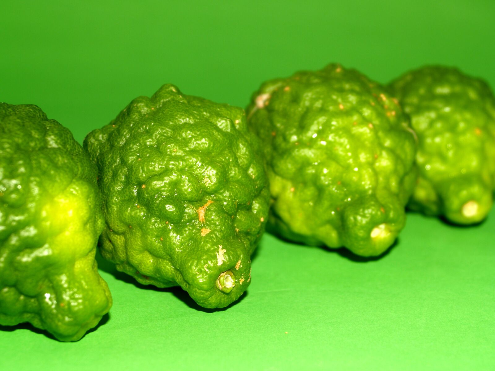 Olympus E-300 (EVOLT E-300) sample photo. Bergamot, fruit, leaf photography