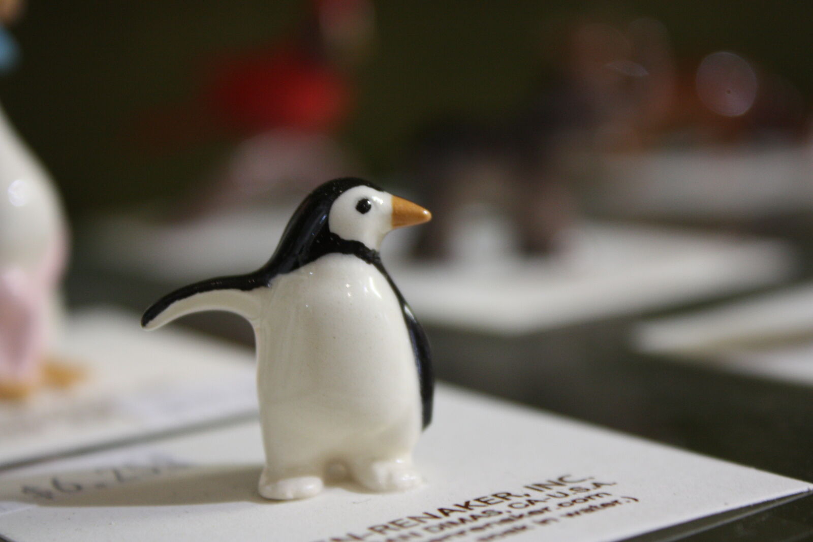 Canon EOS 450D (EOS Rebel XSi / EOS Kiss X2) sample photo. Animal, penguin photography
