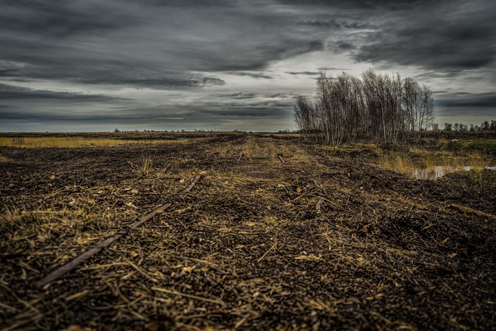 Nikon D5300 sample photo. Horizon, dark, landscape photography