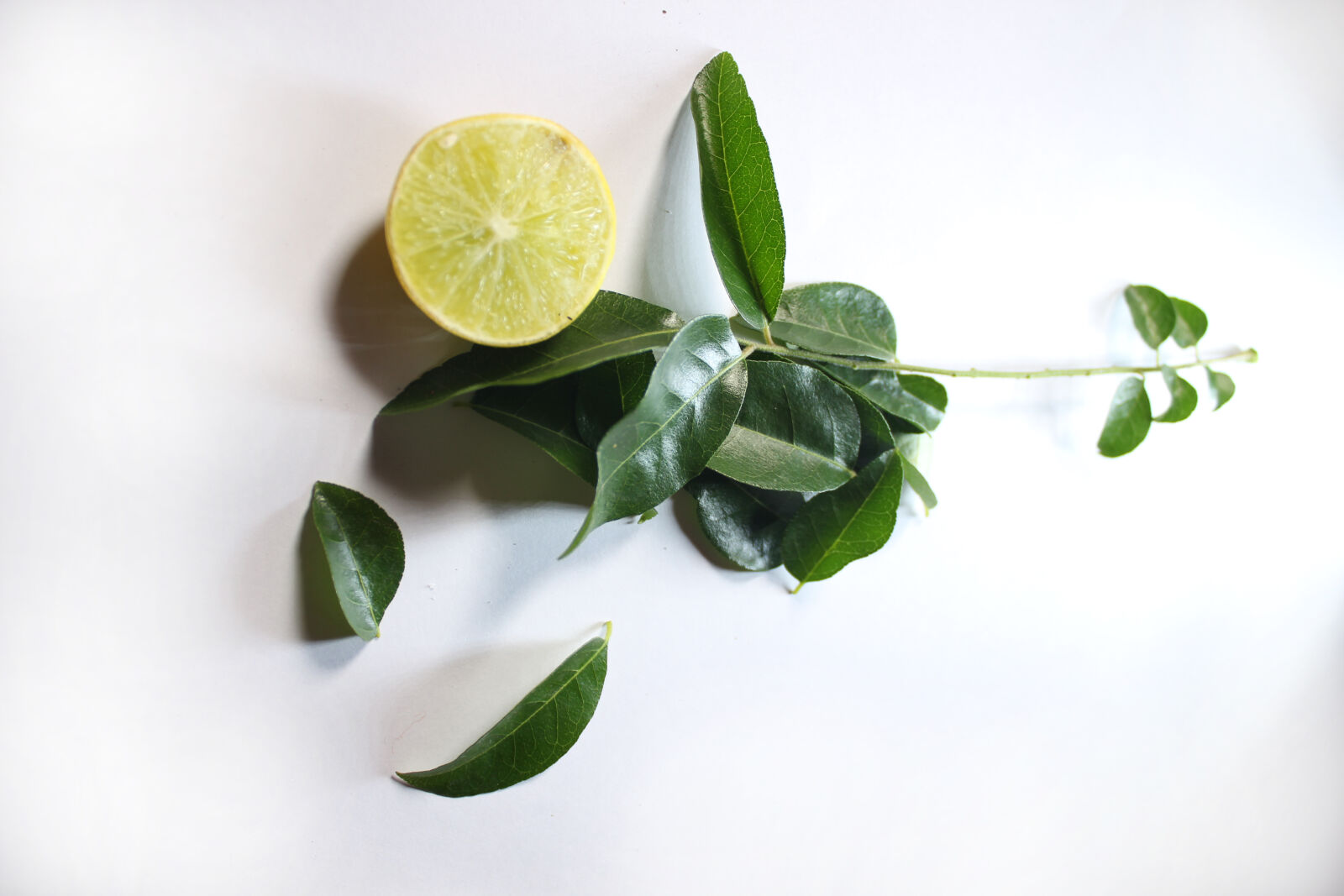 Canon EOS 700D (EOS Rebel T5i / EOS Kiss X7i) sample photo. Curry, leaves, lemon photography