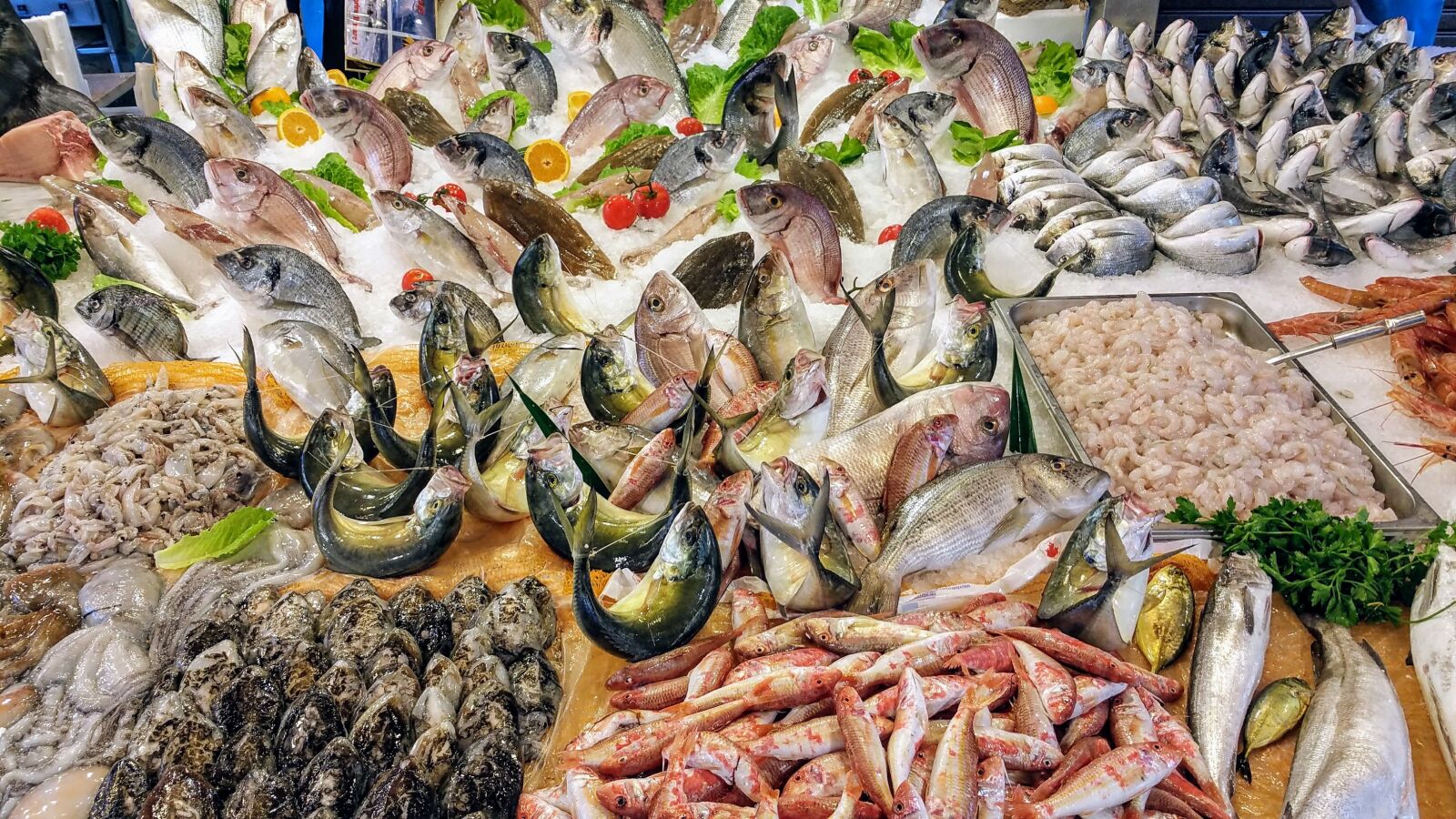 Samsung Galaxy Note4 sample photo. Fish, sea, boat photography