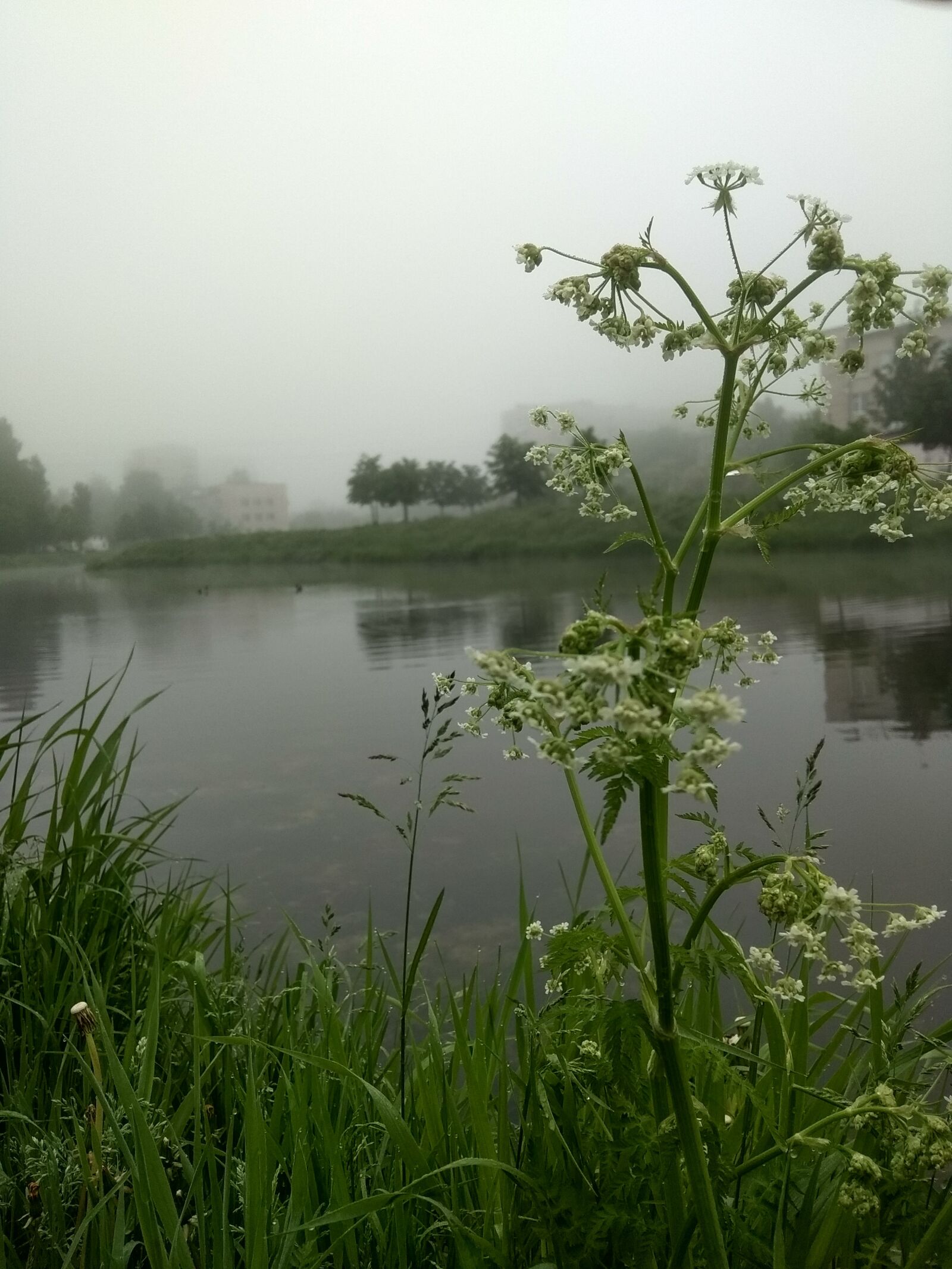 Xiaomi Redmi Note 5A sample photo. Morning, fog, river photography