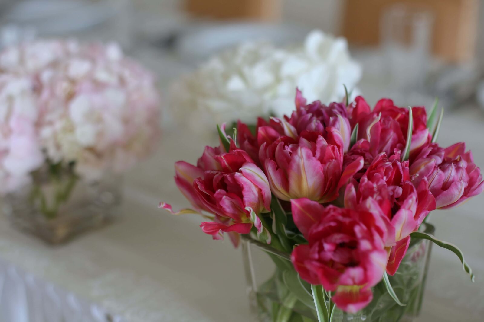 Canon EOS 5D Mark III sample photo. Tulips, reddish, vase, glass photography