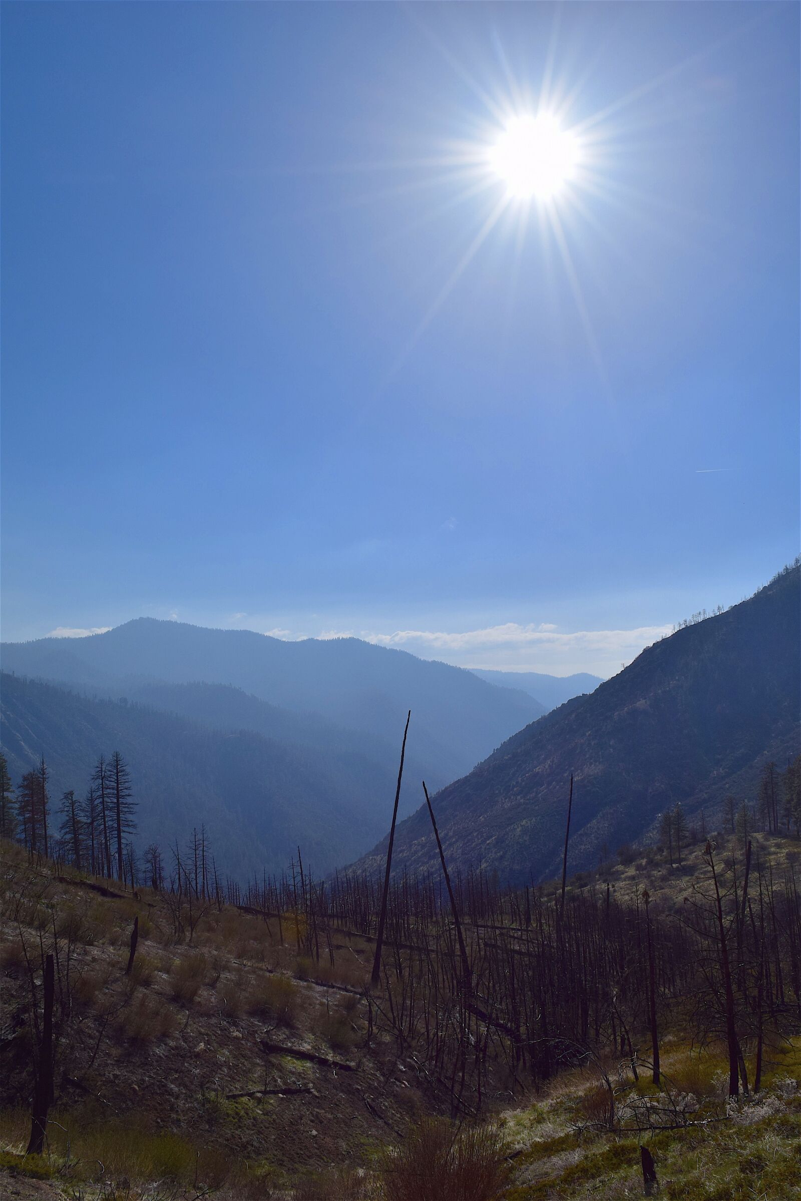 Nikon D3300 sample photo. Mountains, nature, trees photography