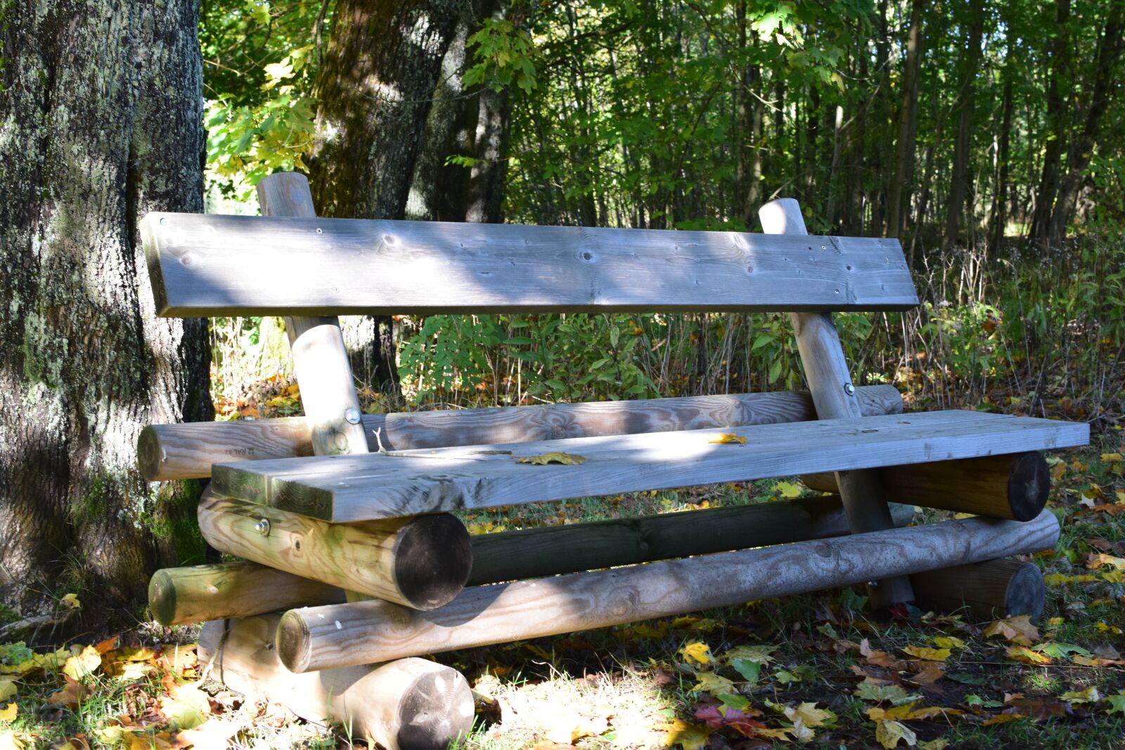 Nikon D5300 sample photo. Bank, forest, rest photography