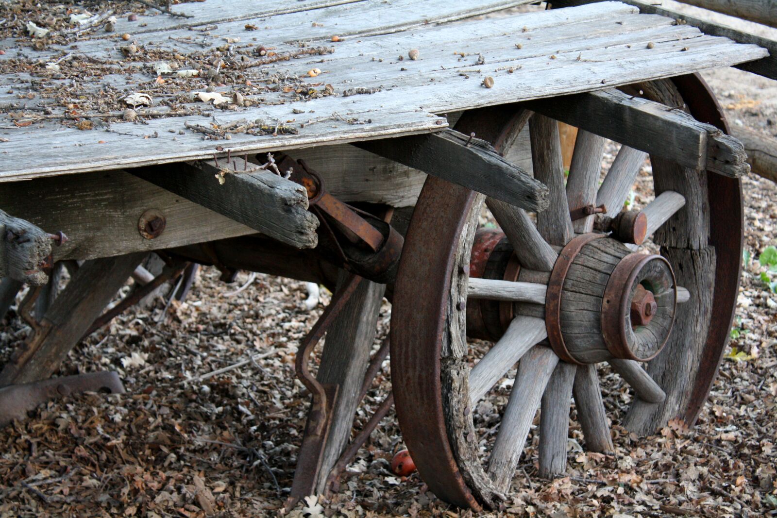 Canon EOS 1000D (EOS Digital Rebel XS / EOS Kiss F) sample photo. Rustic, wagon, autumn photography