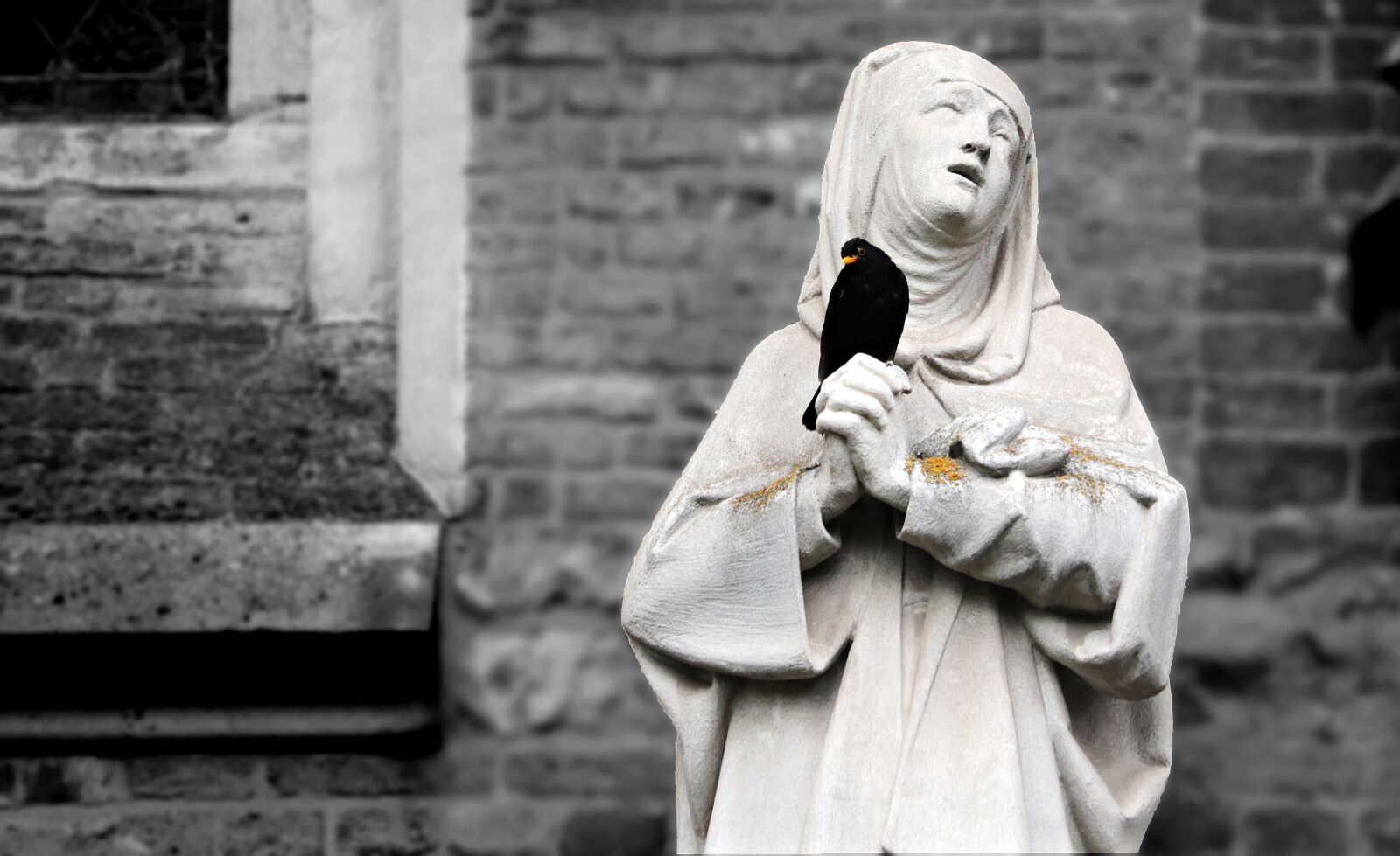 Canon EOS 80D sample photo. Nun, religious sister, prayer photography