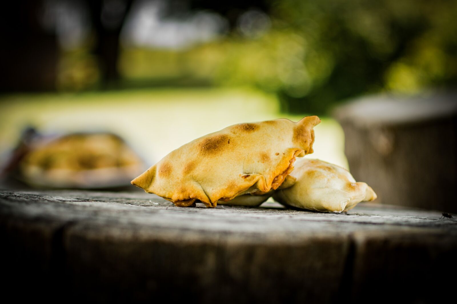 Nikon D7100 sample photo. Empanadas, tucumán, oven photography