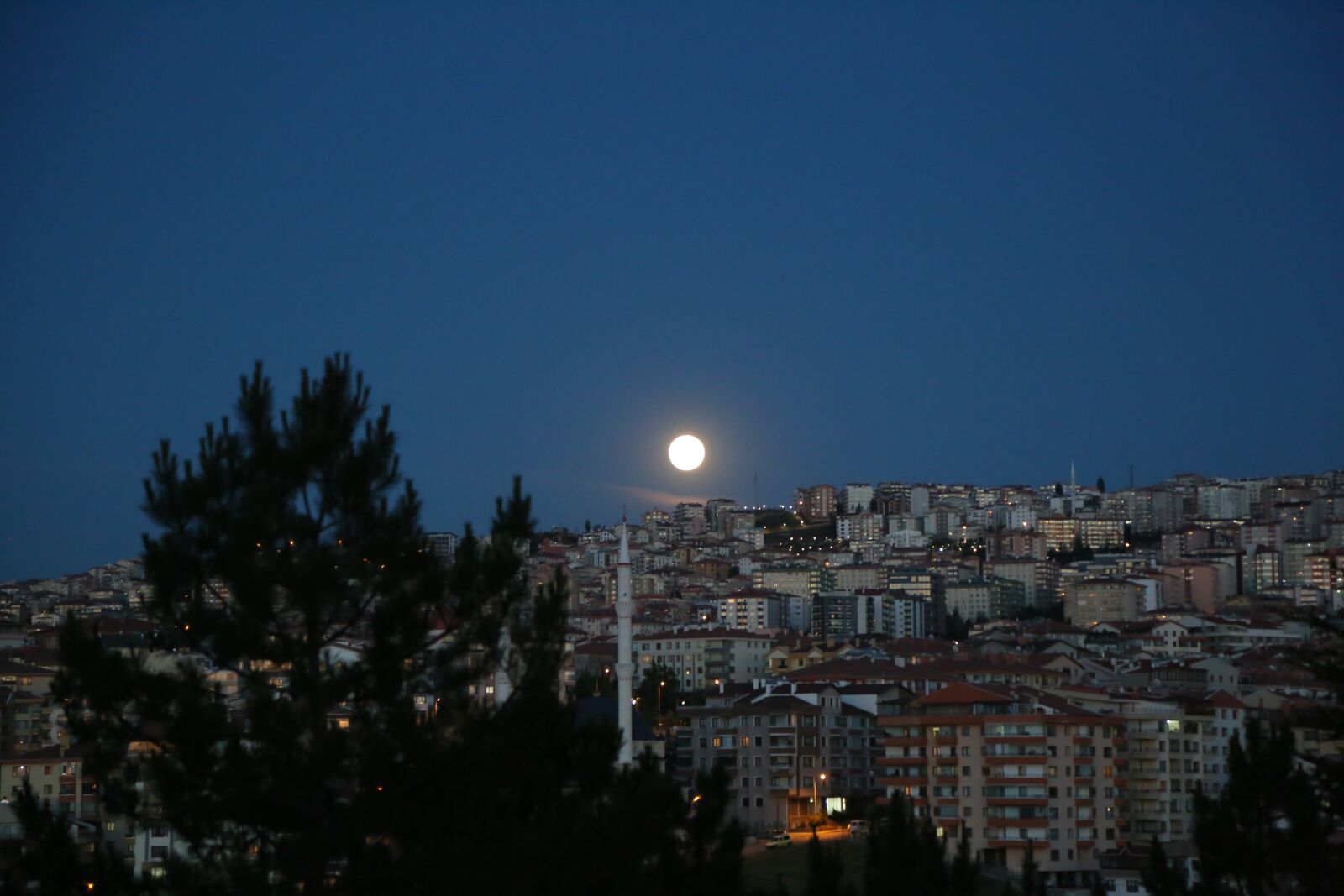 Canon EF 24-105mm F4L IS USM sample photo. Fullmoon, in the evening photography