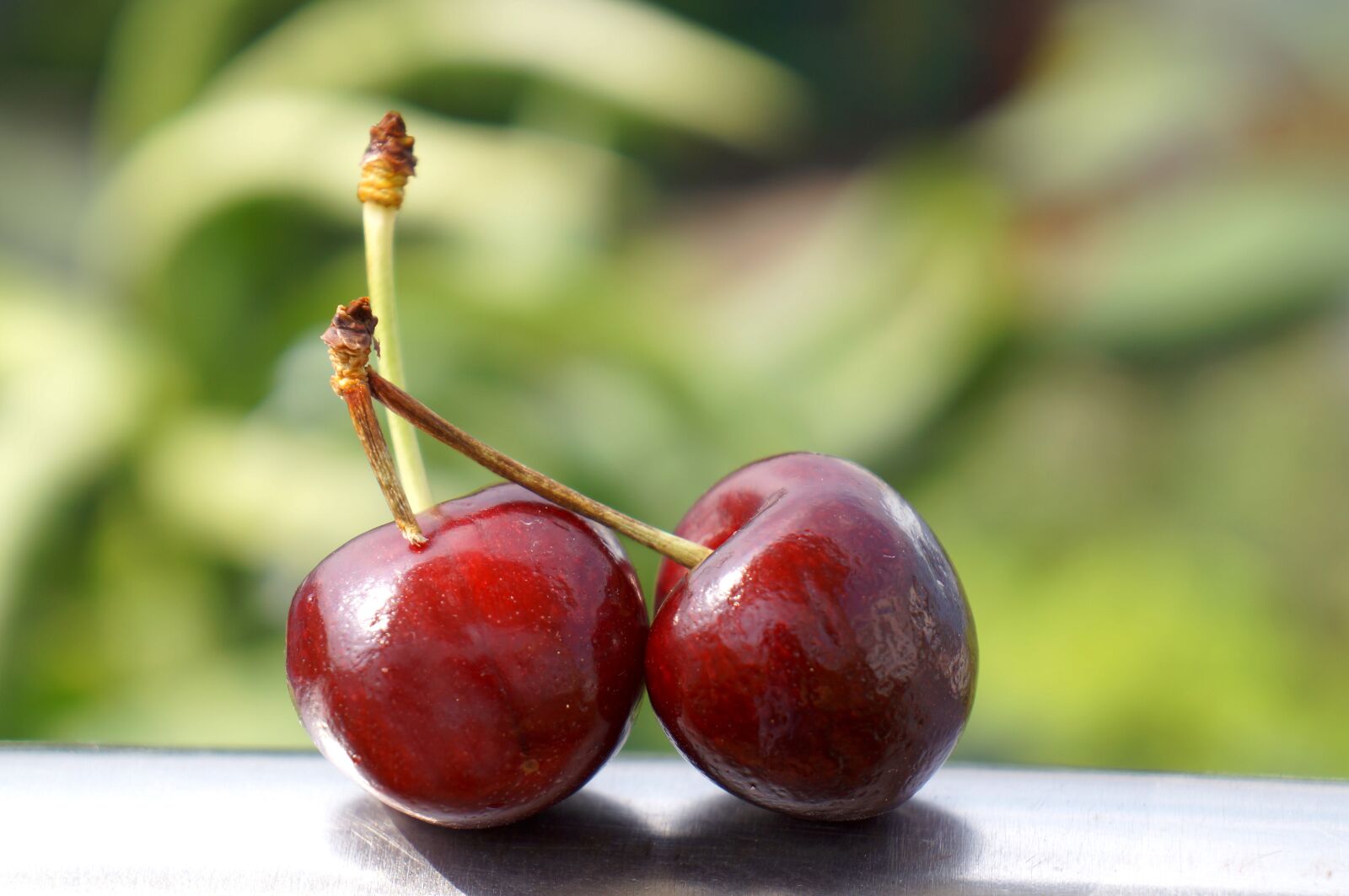 Sony Alpha NEX-F3 + Sony E 18-55mm F3.5-5.6 OSS sample photo. Food, the cherry australia photography