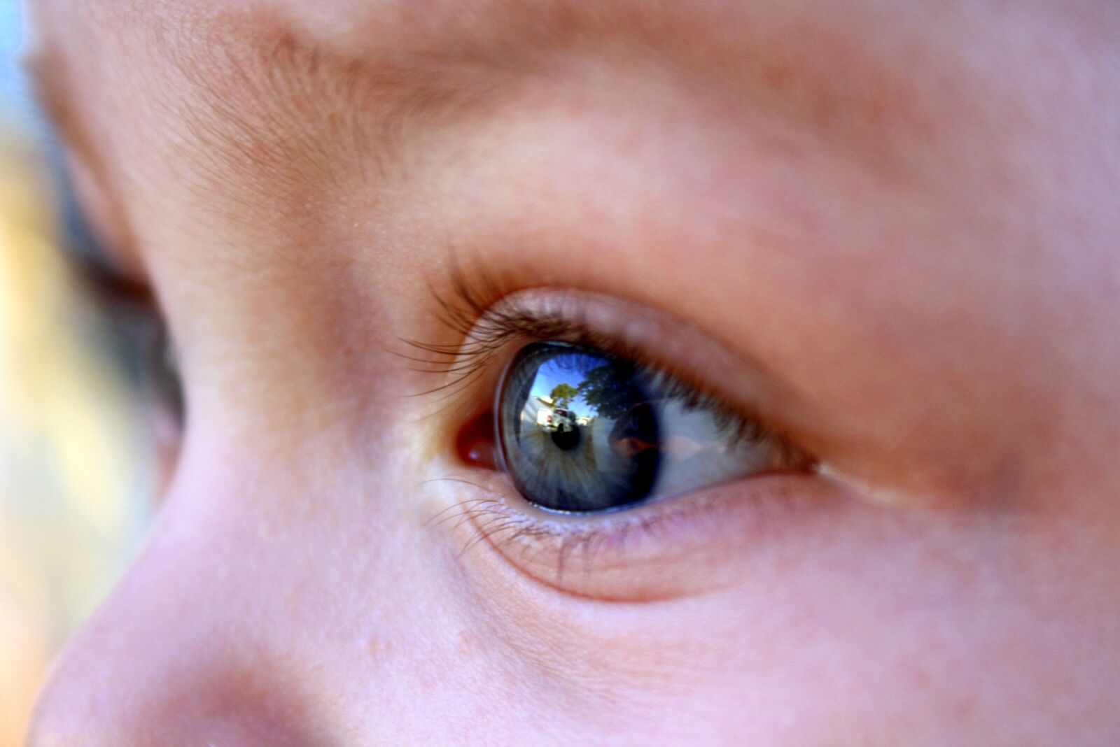 Canon EOS 1000D (EOS Digital Rebel XS / EOS Kiss F) sample photo. Eye, kid, child photography