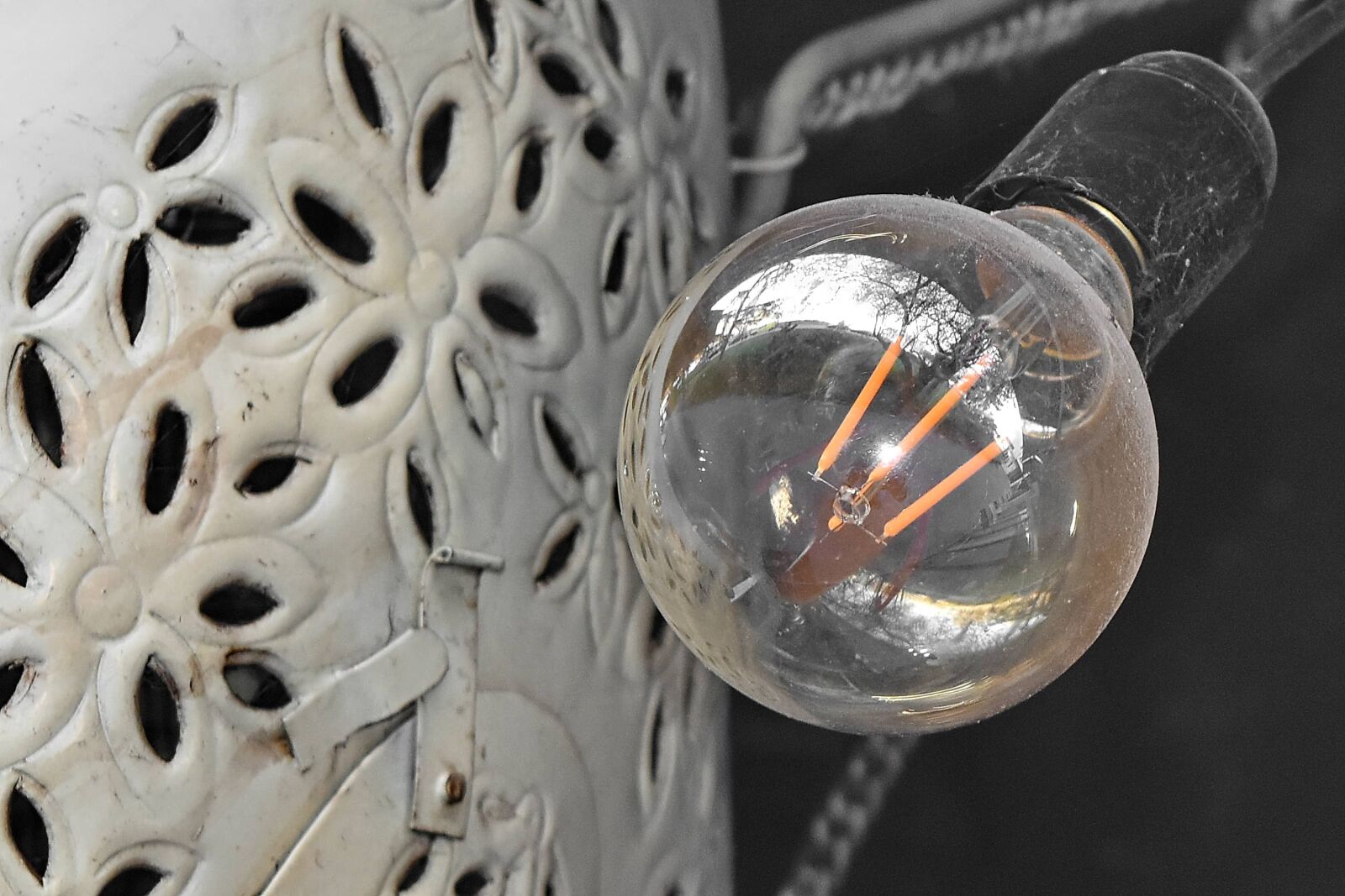 Nikon D5500 sample photo. Light bulb, still life photography