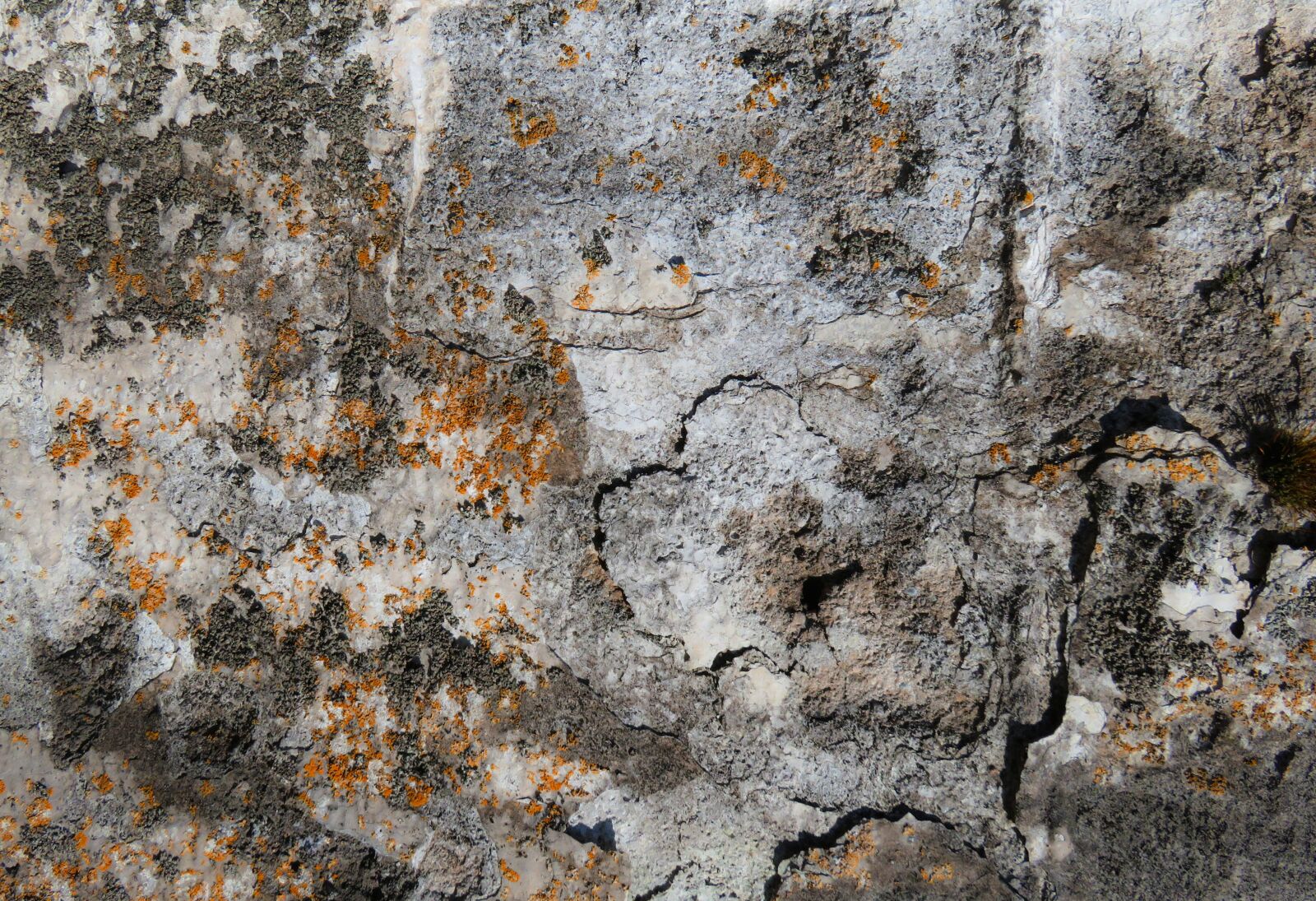 Canon PowerShot SX710 HS sample photo. Texture, background, wall photography