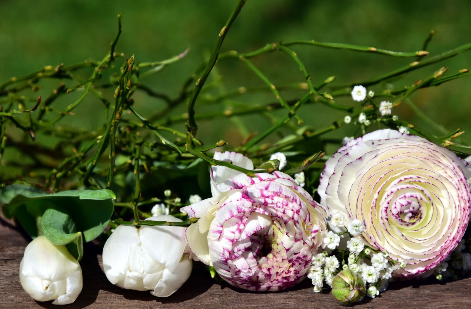 Nikon D3300 sample photo. Bouquet, ranunculus, spring photography