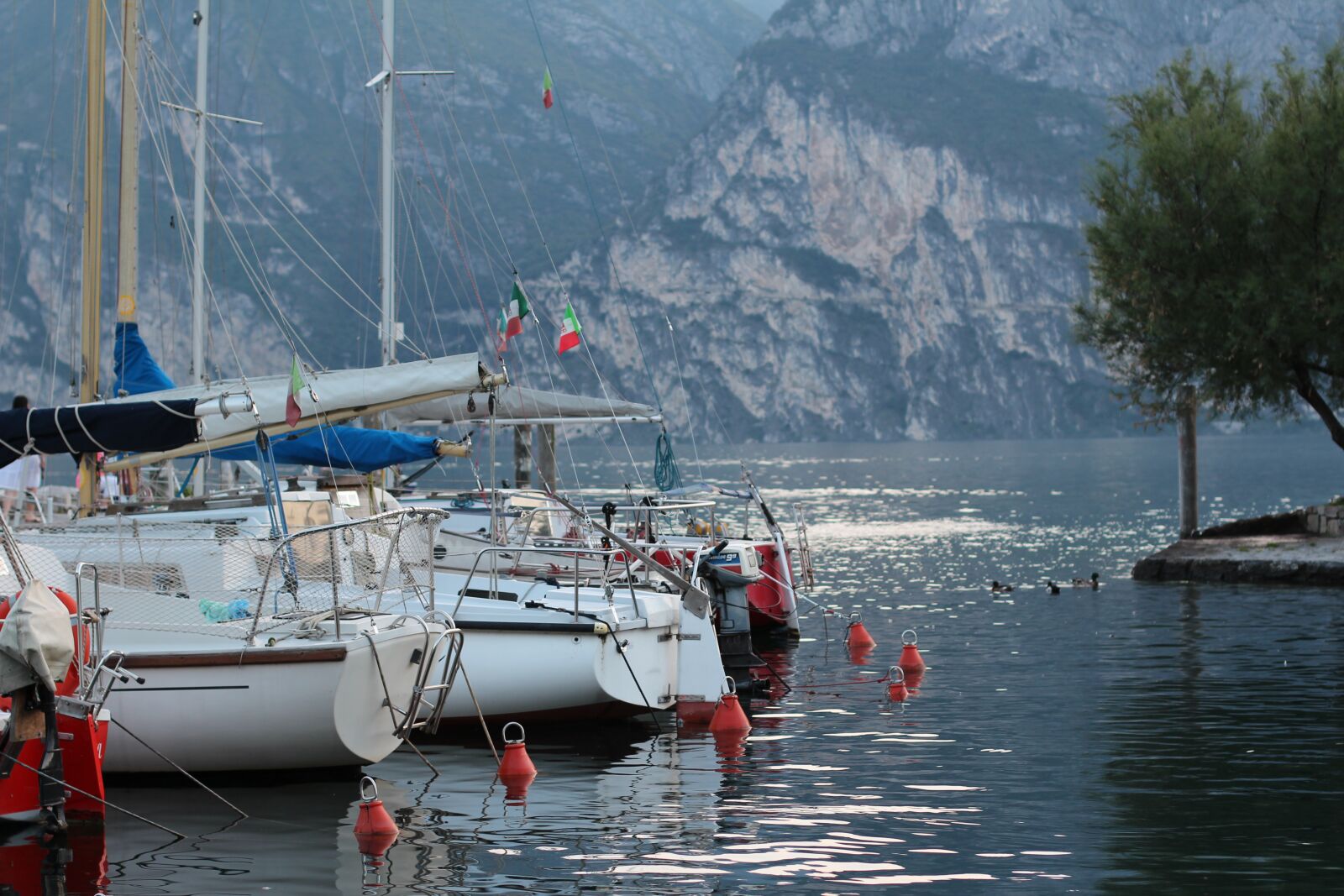 Canon EOS 600D (Rebel EOS T3i / EOS Kiss X5) + Canon EF 50mm F1.4 USM sample photo. Boats, ship, garda photography