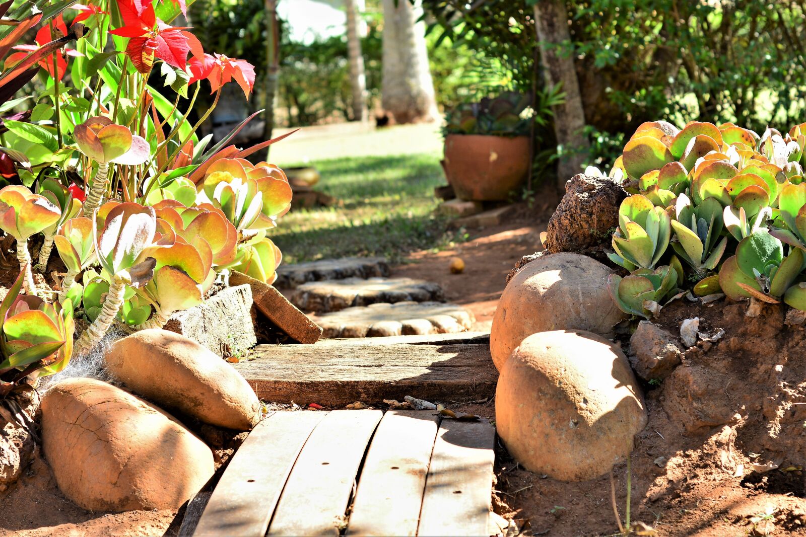 Nikon D7100 sample photo. Path, ride, garden photography