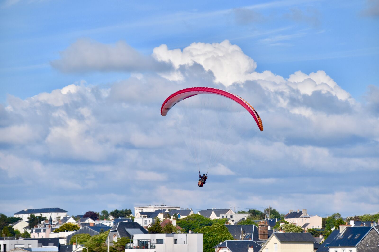 Nikon D5600 sample photo. Paragliding, tandem paragliding, paragliders photography