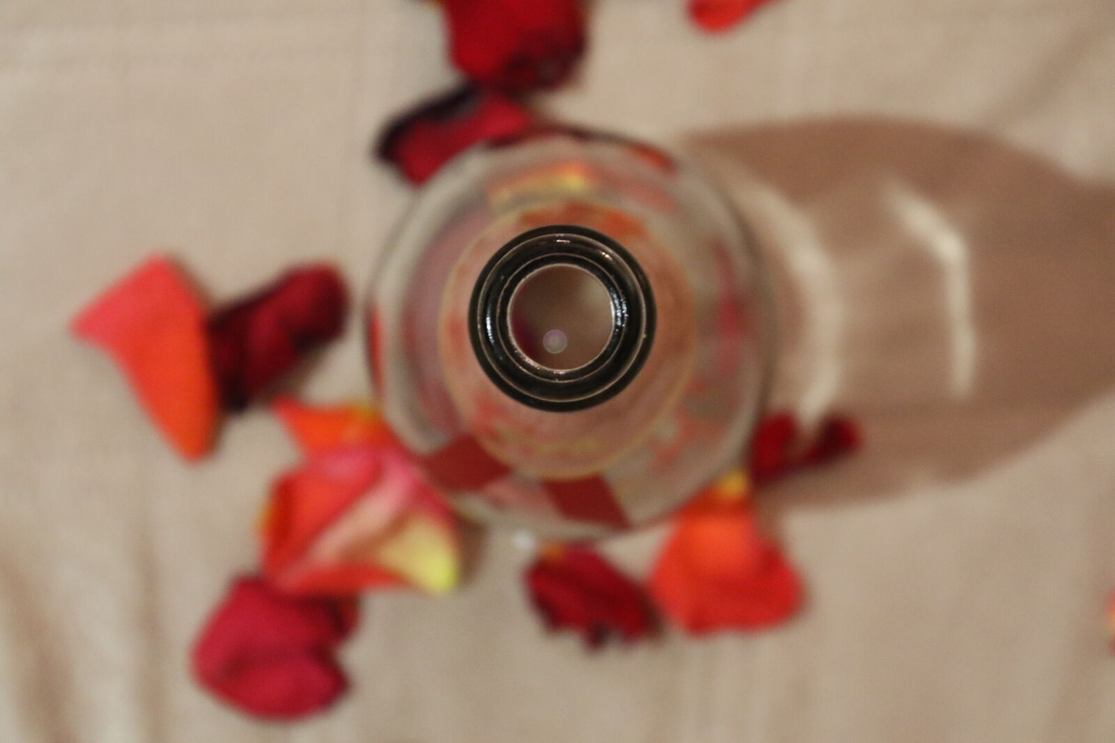 Canon EOS 7D Mark II sample photo. Alcohol, bottle, champagne, circle photography