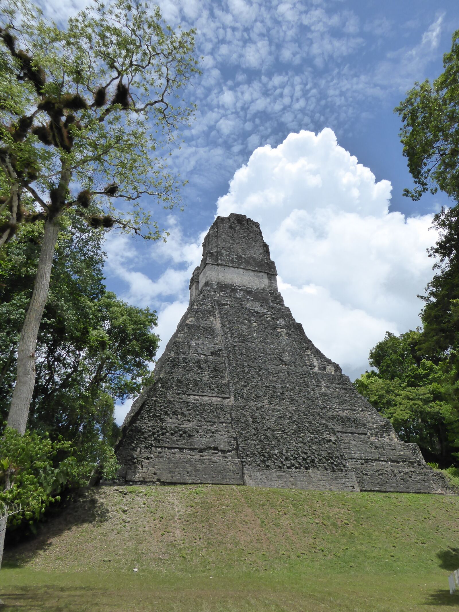 Panasonic Lumix DMC-ZS50 (Lumix DMC-TZ70) sample photo. Pyramid, maya, tikal photography