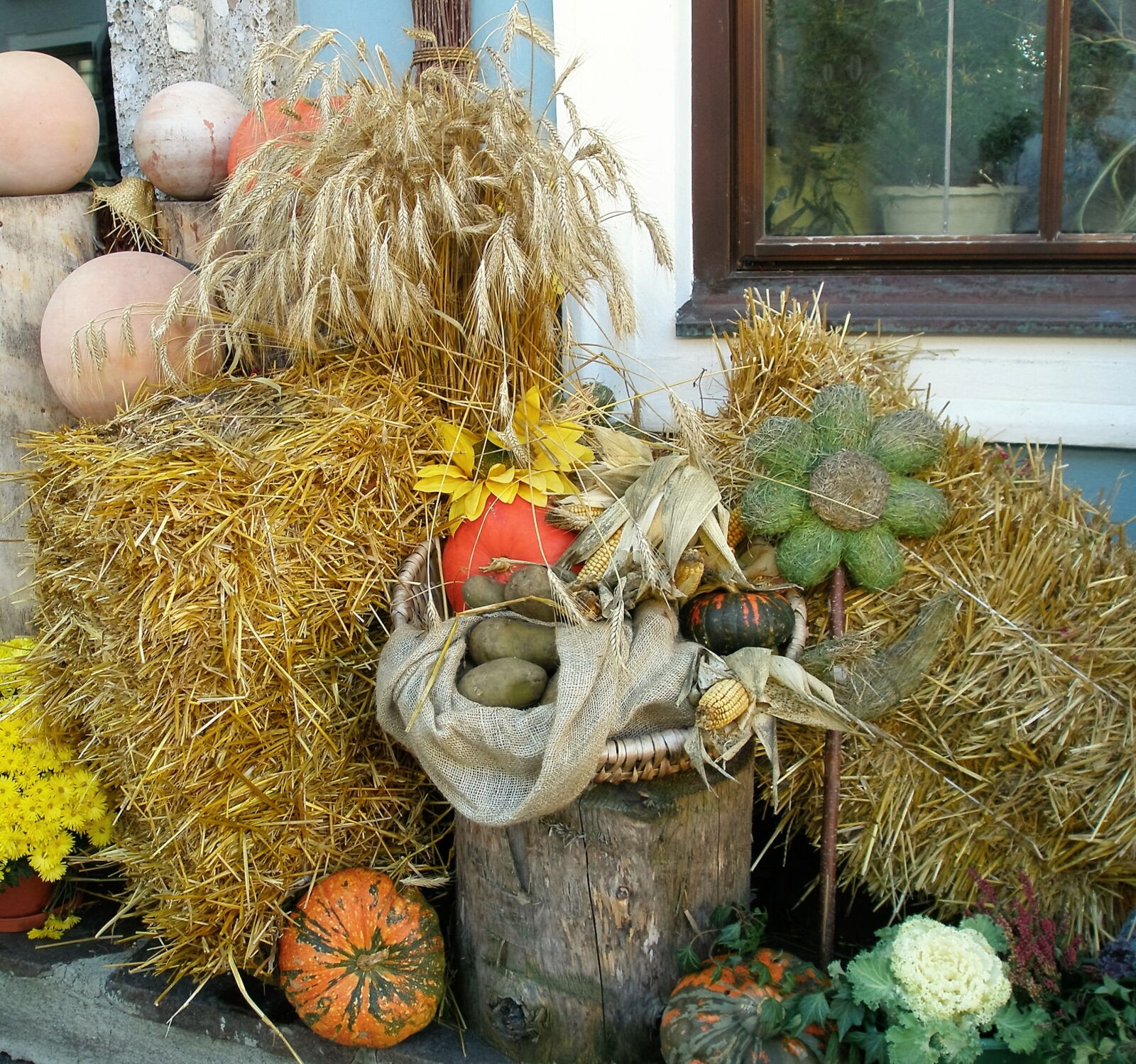 Olympus u810/S810 sample photo. Autumn, color, october photography
