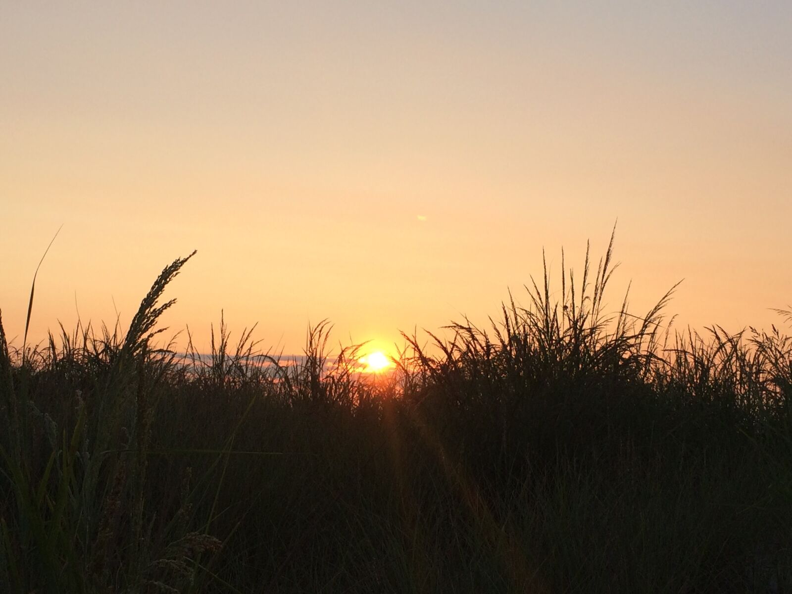 iPhone 5s back camera 4.12mm f/2.2 sample photo. Sunrise, beach, sand dunes photography