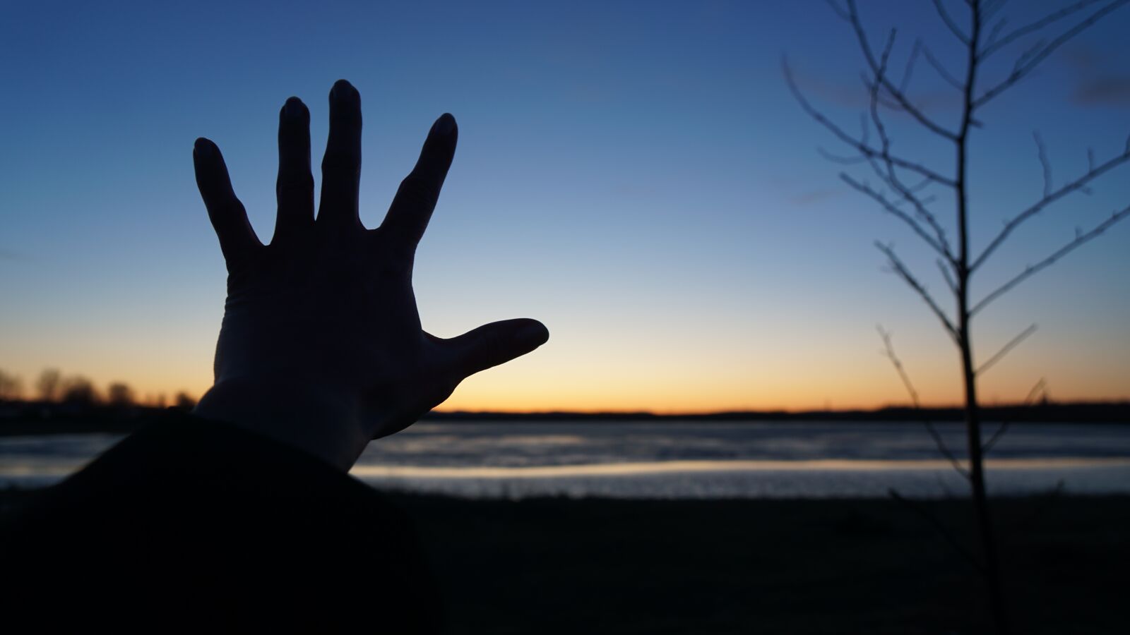 Sony a6000 + Sony Vario-Tessar T* E 16-70mm F4 ZA OSS sample photo. Hand, silhouette, sunset photography
