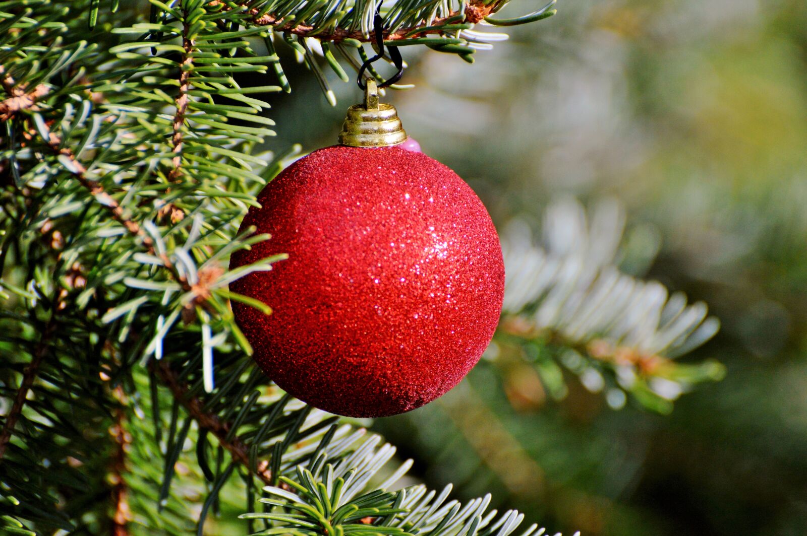 Nikon D3200 sample photo. Christmas ornament, christmas ornaments photography