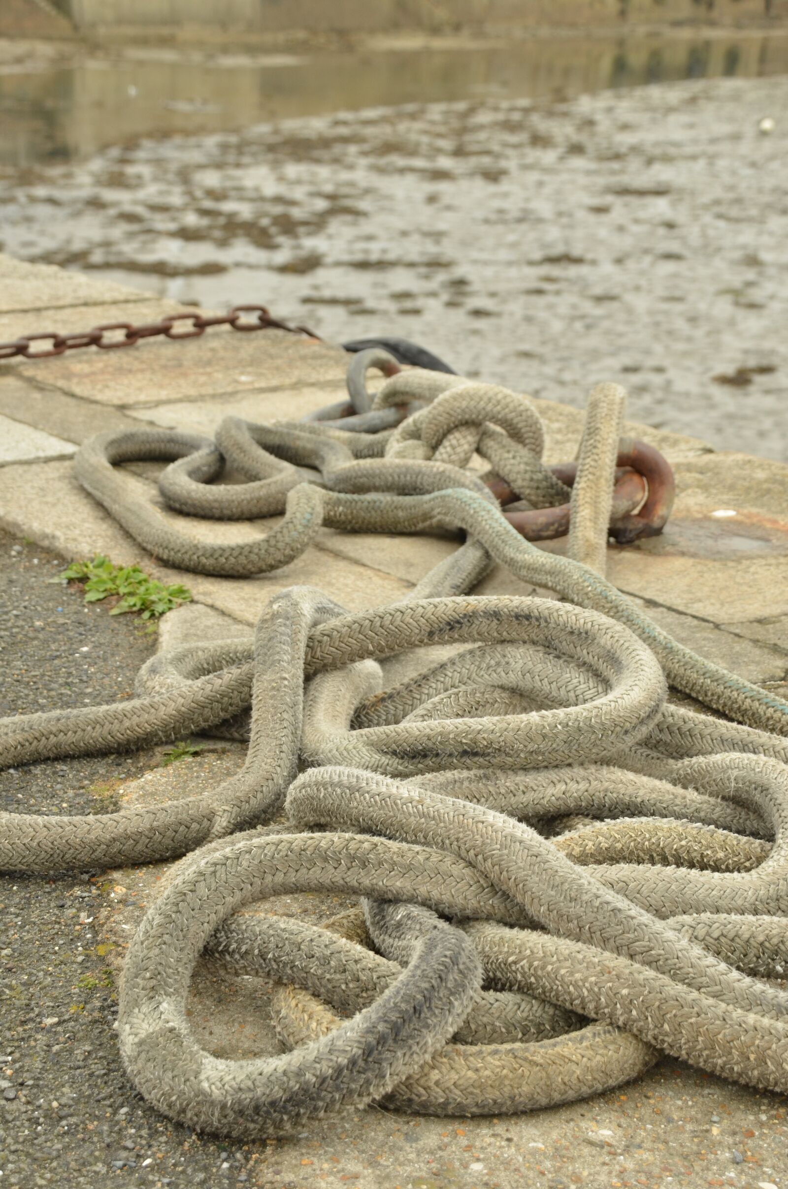 Nikon D7000 sample photo. Rope, cable, tros photography