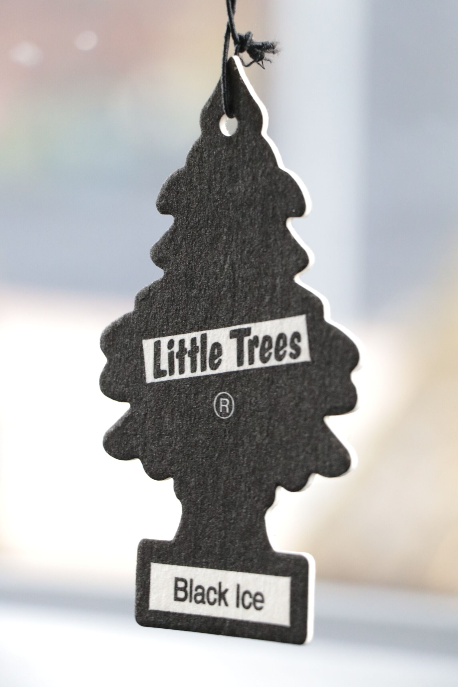 Canon EF-S 18-135mm F3.5-5.6 IS USM sample photo. Air freshner, little trees photography
