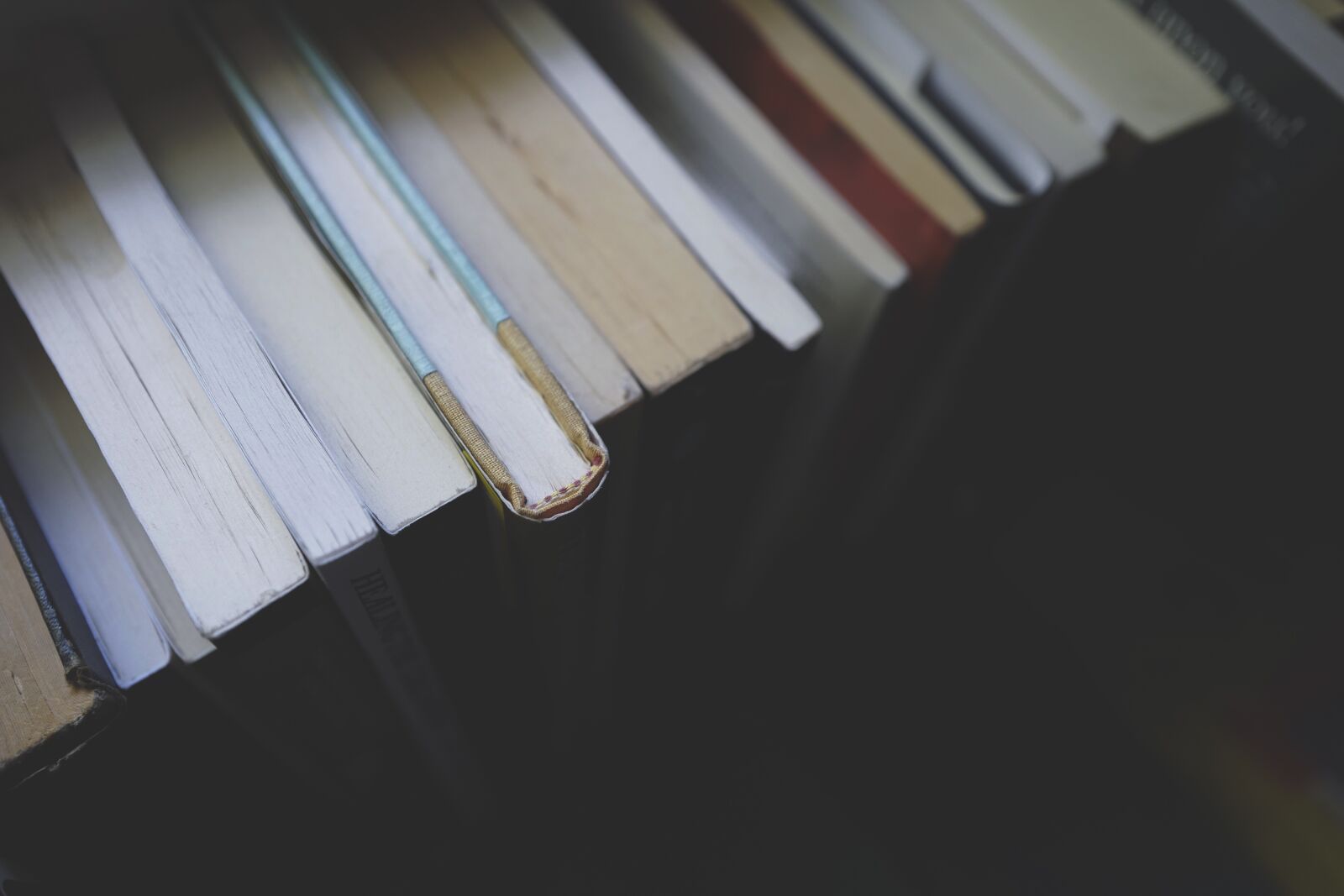 Leica Q (Typ 116) sample photo. Books, education, knowledge photography