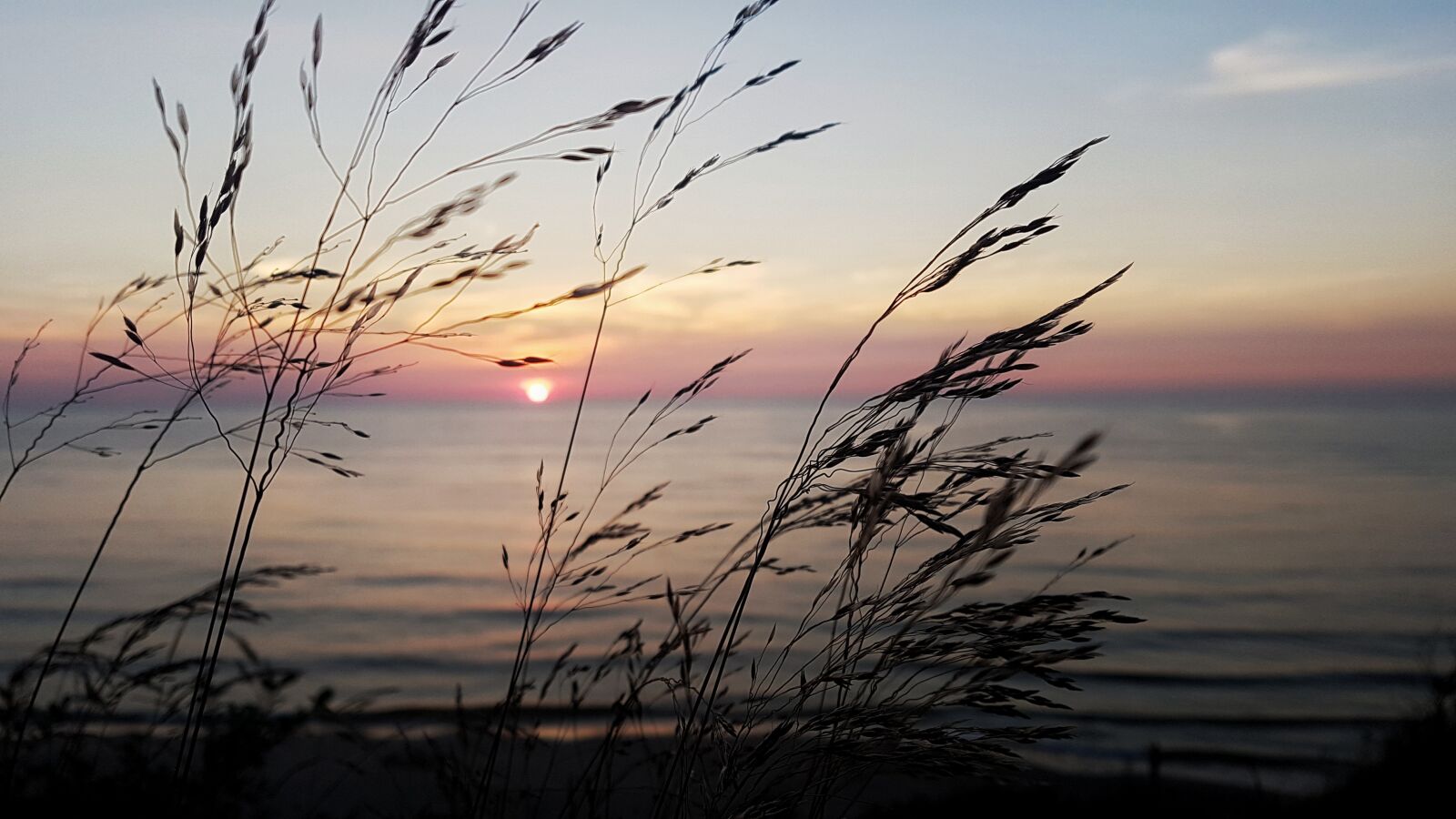 Samsung Galaxy S7 Edge sample photo. The ecclesia, sea, grass photography