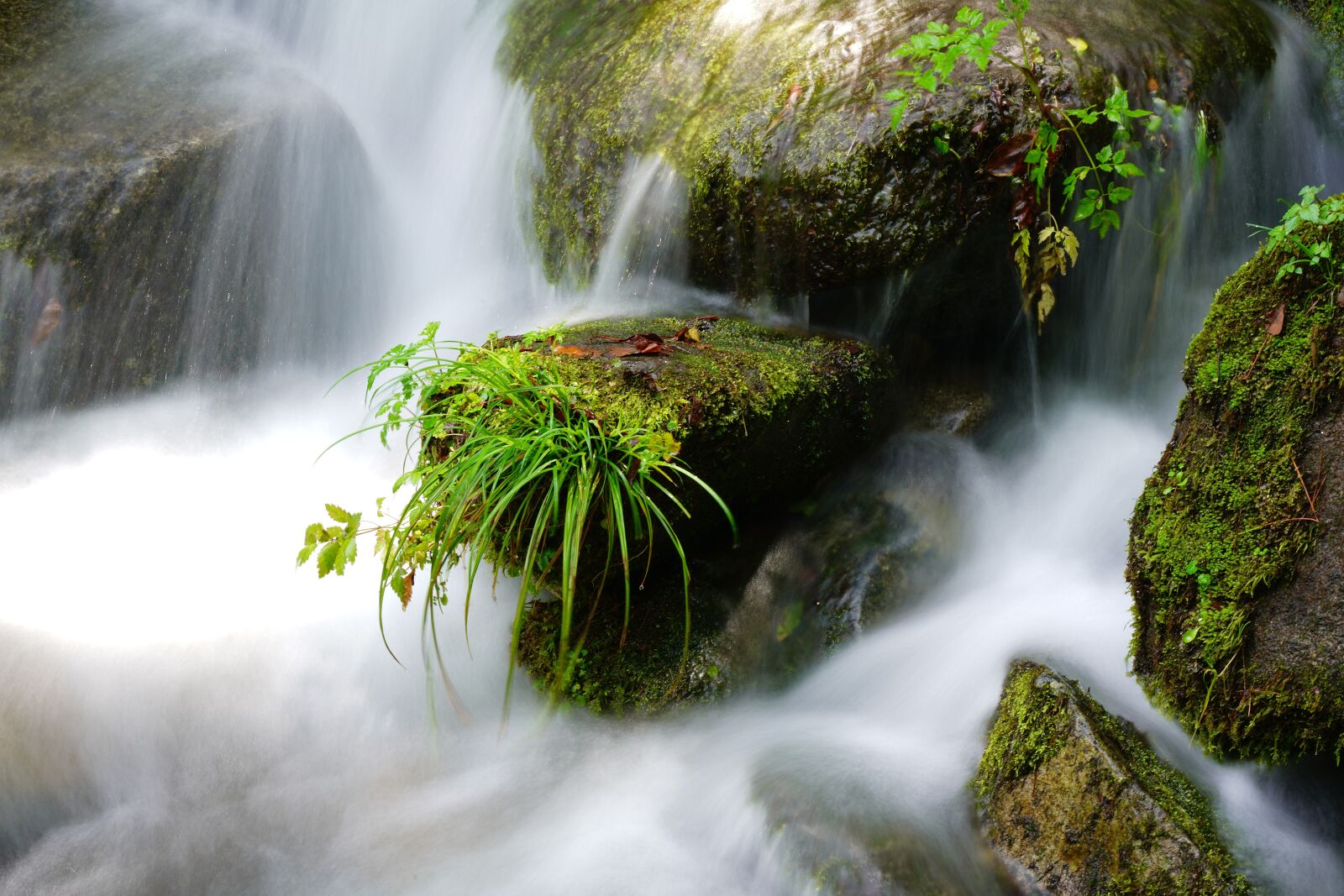 Sony FE 24-105mm F4 G OSS sample photo. Valley, water, clean photography